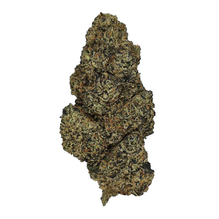 Discover Runtz 41: The Balanced Hybrid THCa Concentrate for a Relaxed Yet Clear Mind