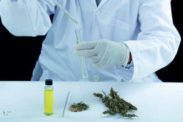 How Long Does a THCa High Last? A Clear Look at What to Expect