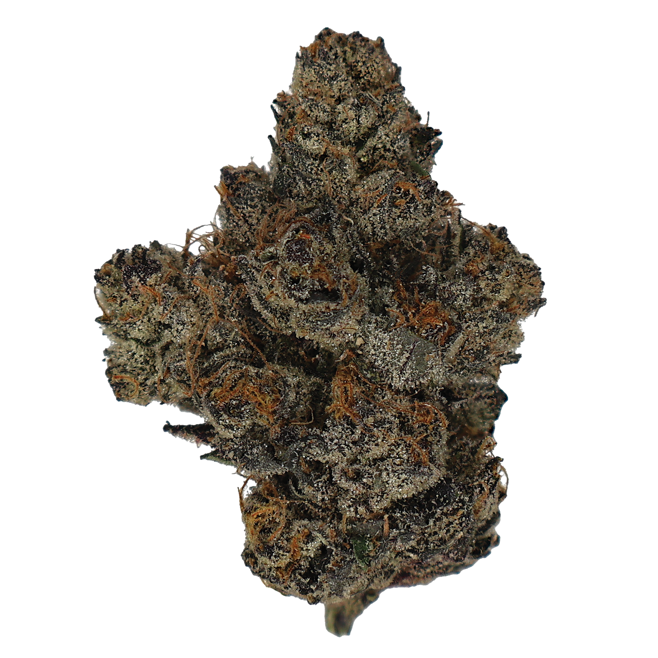 Discover the Sweet Power of Hood Candyz THCA Flower