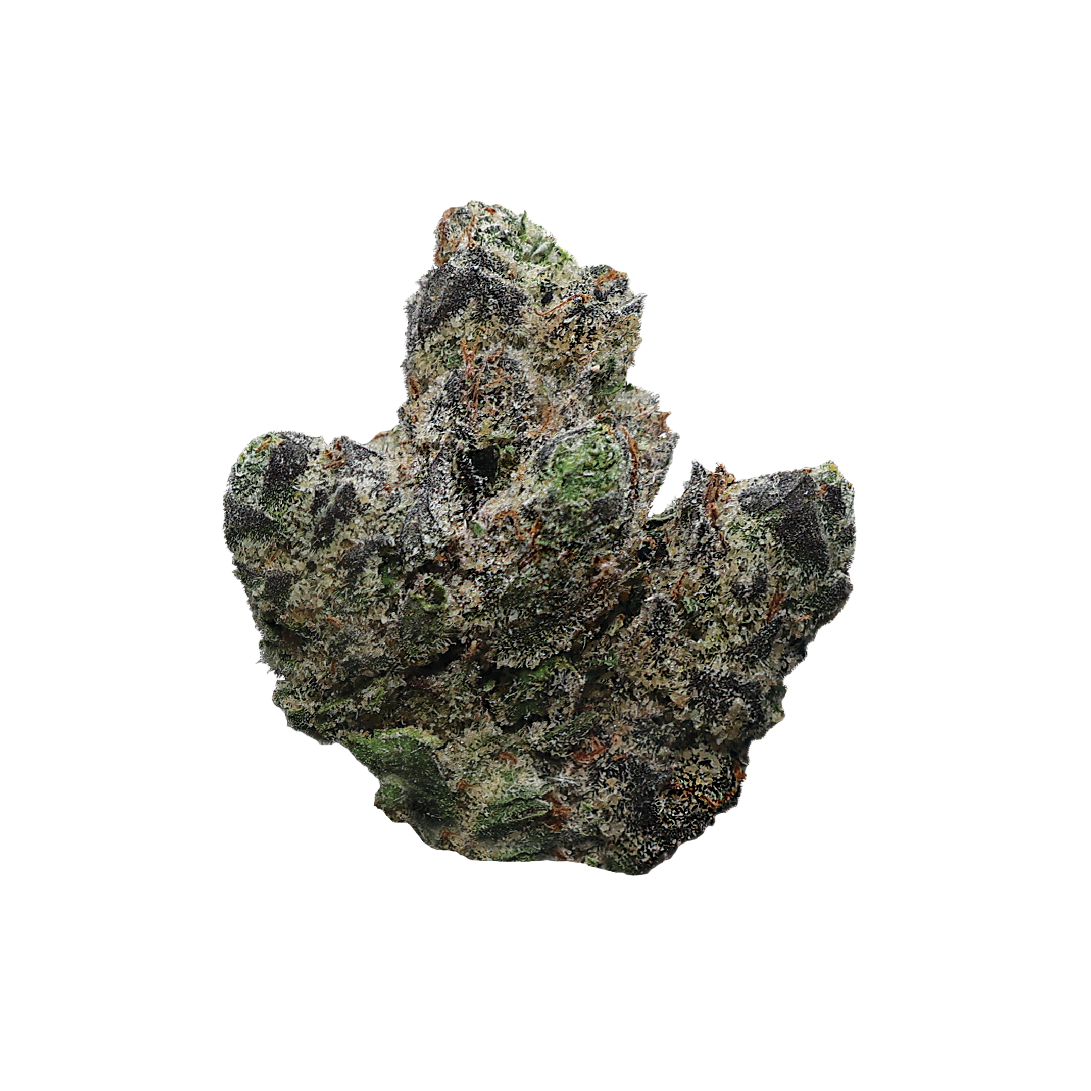 Lemon Cherry Gelato THCA flower from Miracle of the Desert, close-up of vibrant, resinous cannabis buds with orange and purple hues.