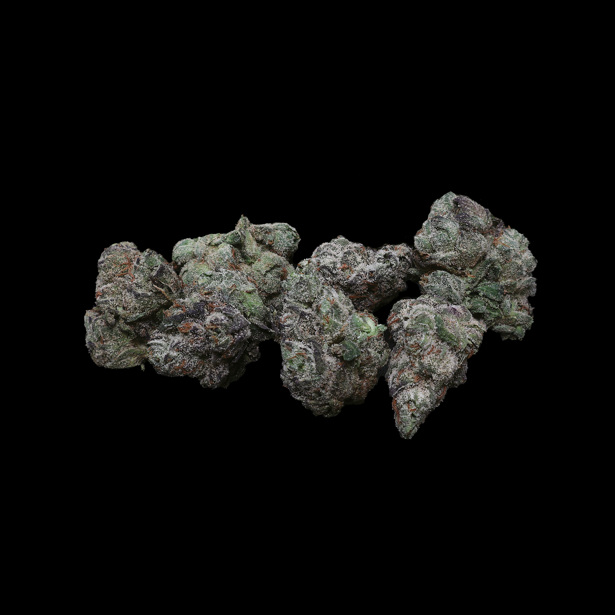 Miracle of the Desert Mochi THCA Flower small buds, vibrant green cannabis flower with trichomes and orange pistils.