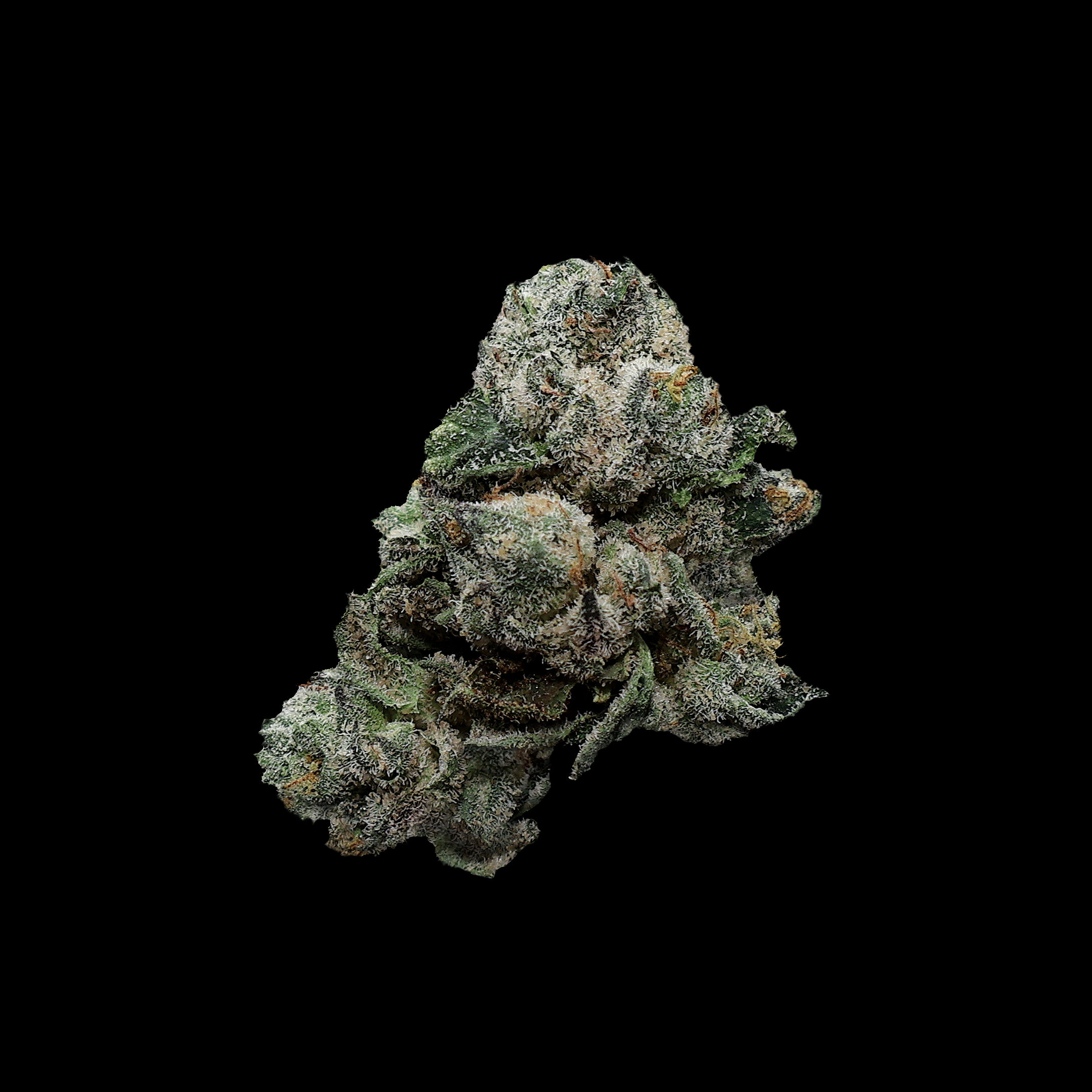 Miracle of the Desert Mochi THCA Flower small buds with frosty trichomes and vibrant green color, fresh and aromatic cannabis product.