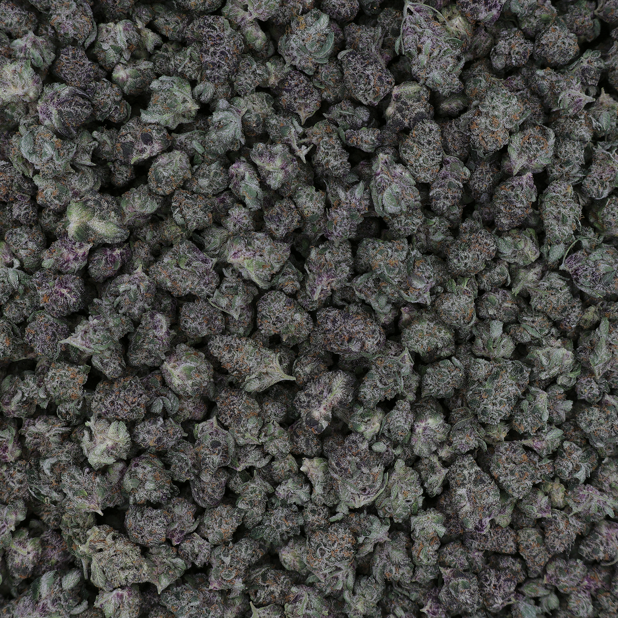 Close-up of Superboof THCa Micro Smalls Flower from Miracle of the Desert, showcasing vibrant buds and crystalline trichomes.