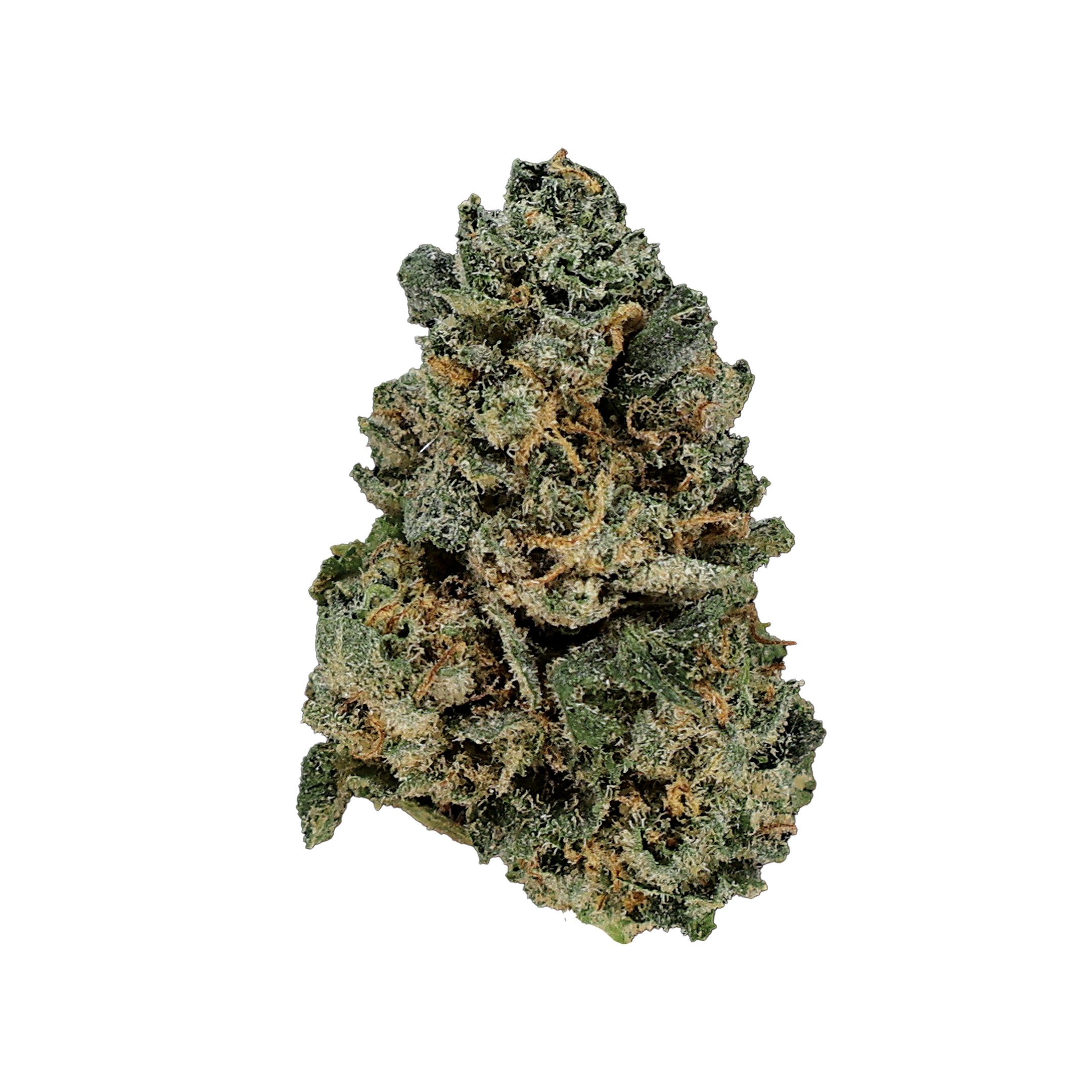 Miracle of the Desert Grape OG THCA Flower small buds with purple and green grape aroma and dense resinous trichomes.