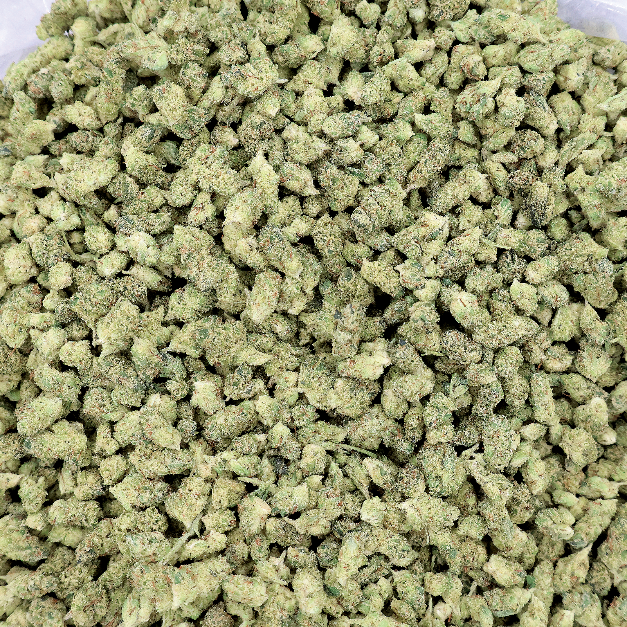 GG4 THCa Micro Smalls Flower
