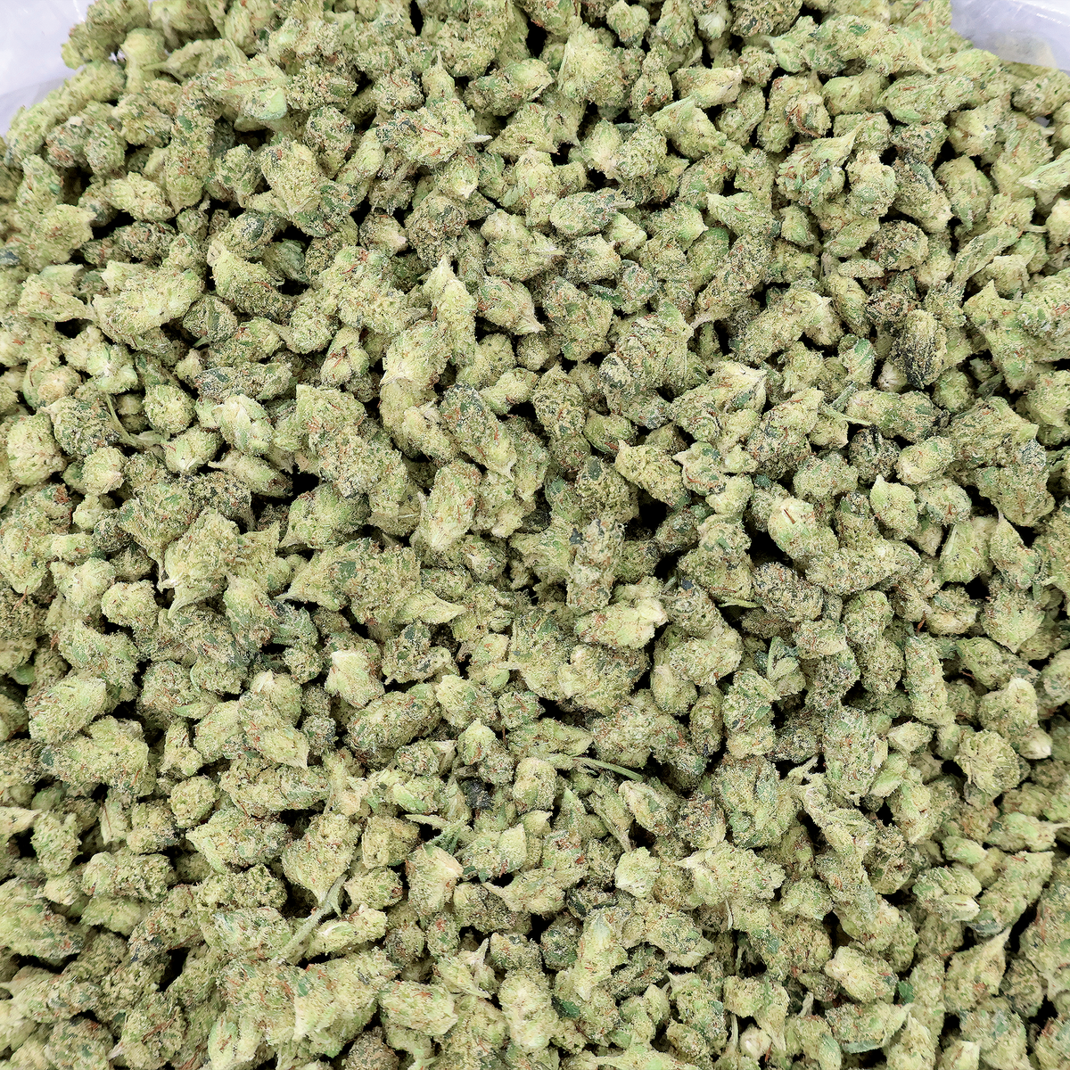 Miracle of the Desert - free 3.5g GG4 THCa flower sample