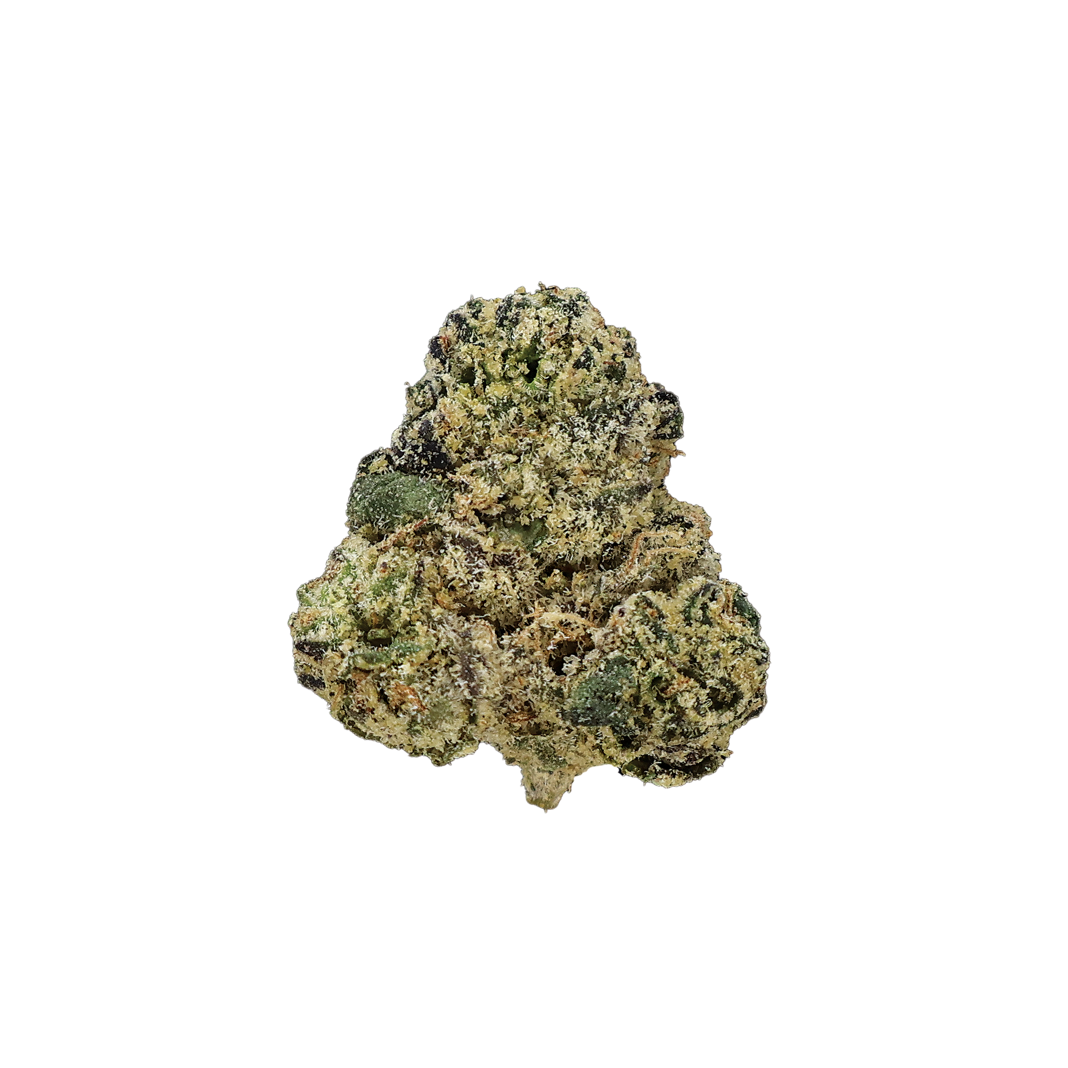 Gascotti THCa Smalls Flower by Miracle of the Desert showing fresh, green THCA cannabis buds with orange pistils and trichomes.