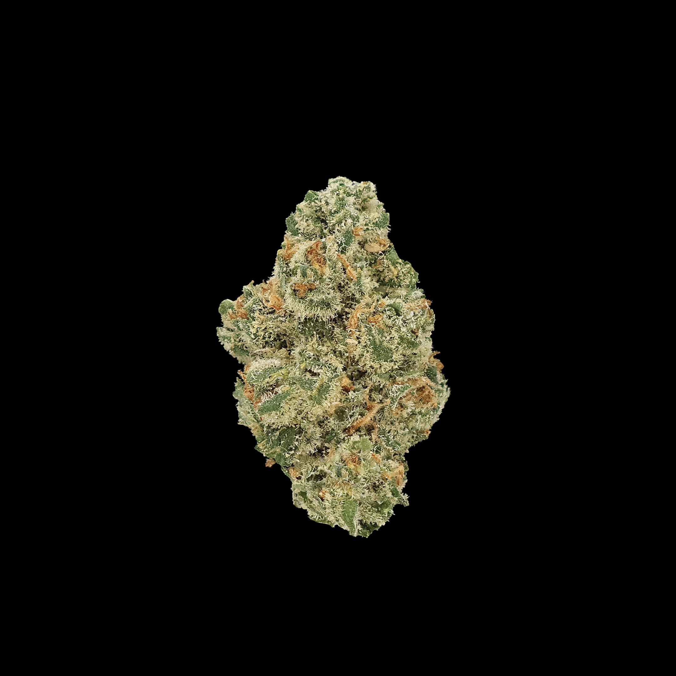 Close-up of Jack Herer THCa Smalls Flower from Miracle of the Desert, showing vibrant buds and rich green cannabis plant details.