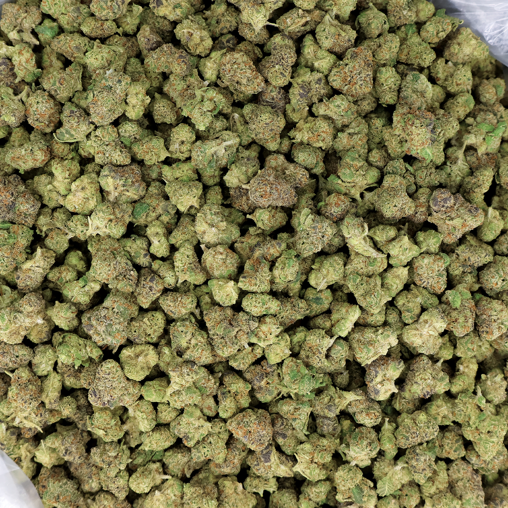 Zkittlez THCa Smalls Flower