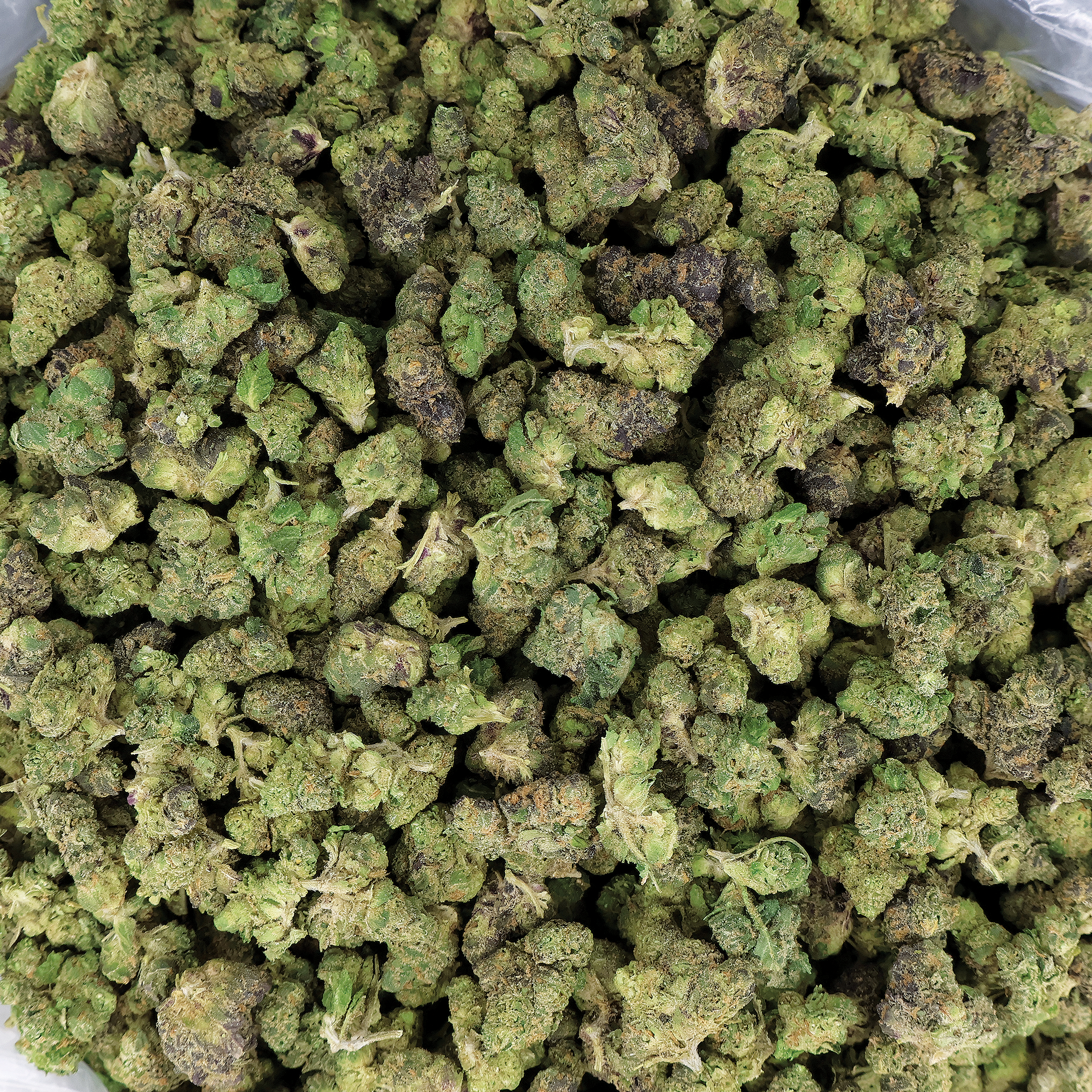 Zoy Sauce THCa Smalls Flower