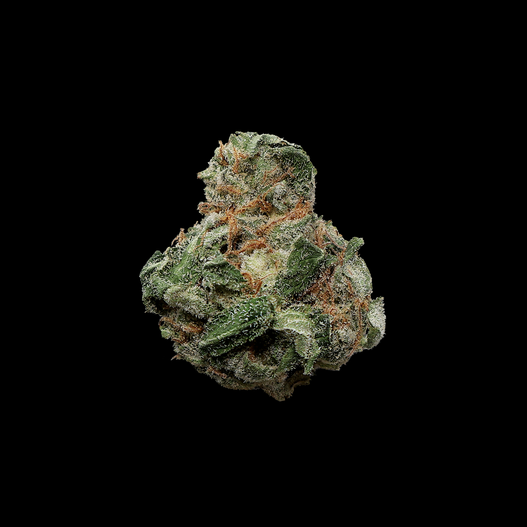 Purple Cream THCa Smalls Flower