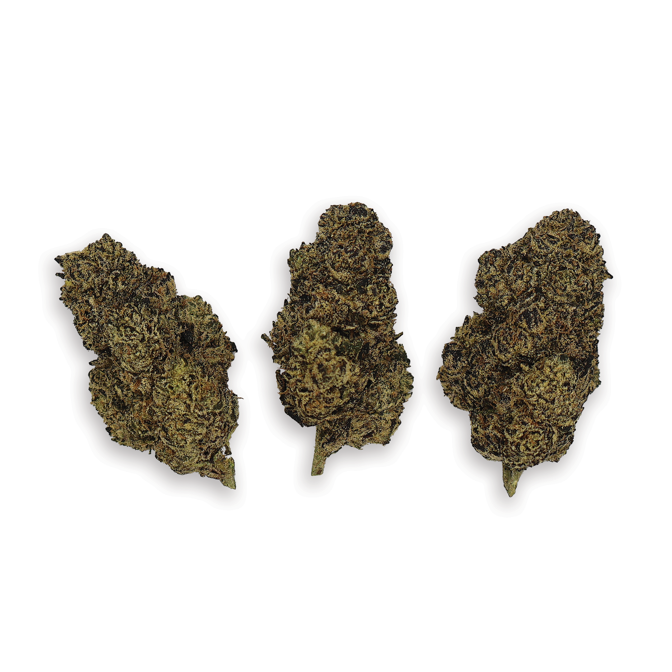 Premium Flower Sample Bundle (Mix and match, 3-pack) - Miracle of The Desert