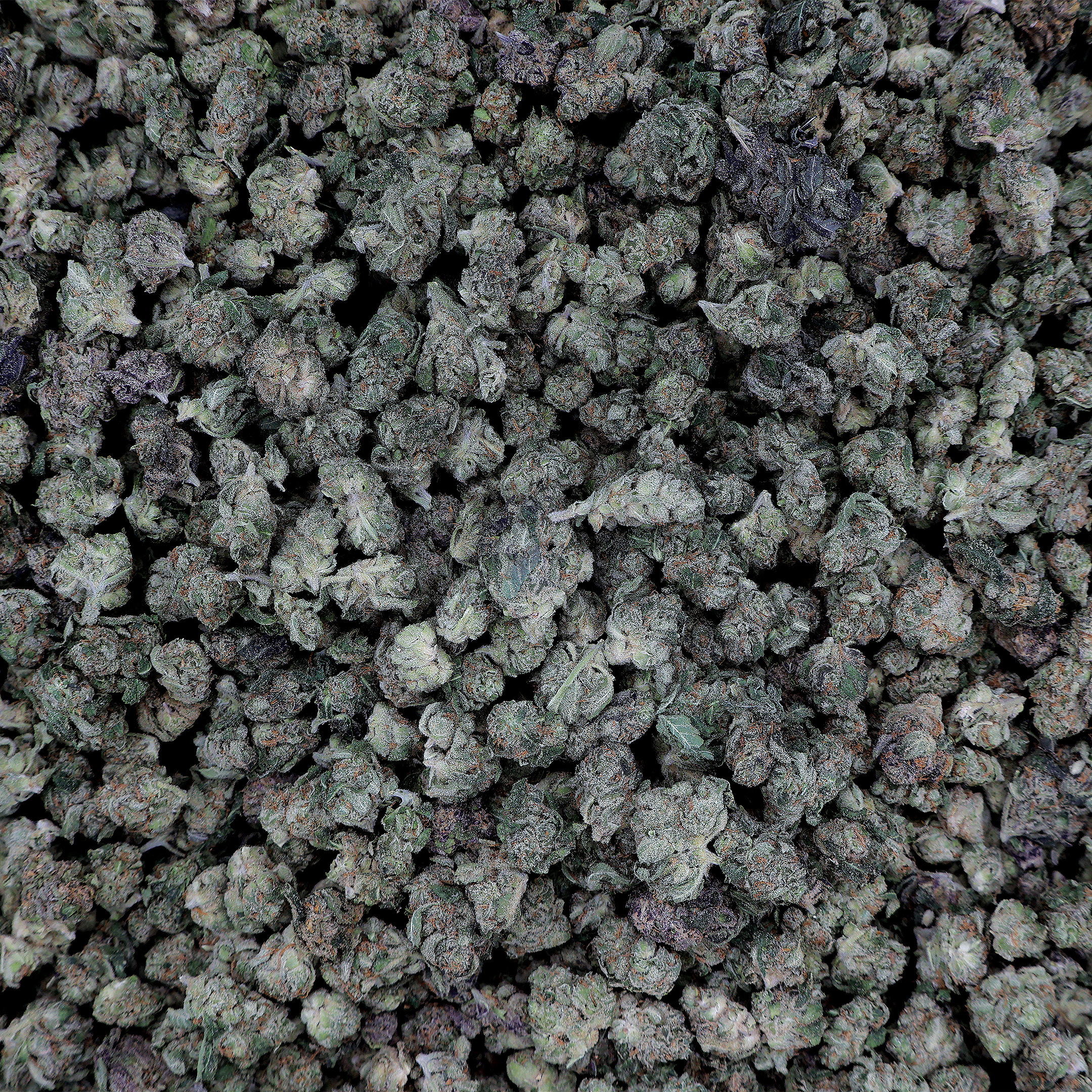 Purple Cream THCa Smalls Flower