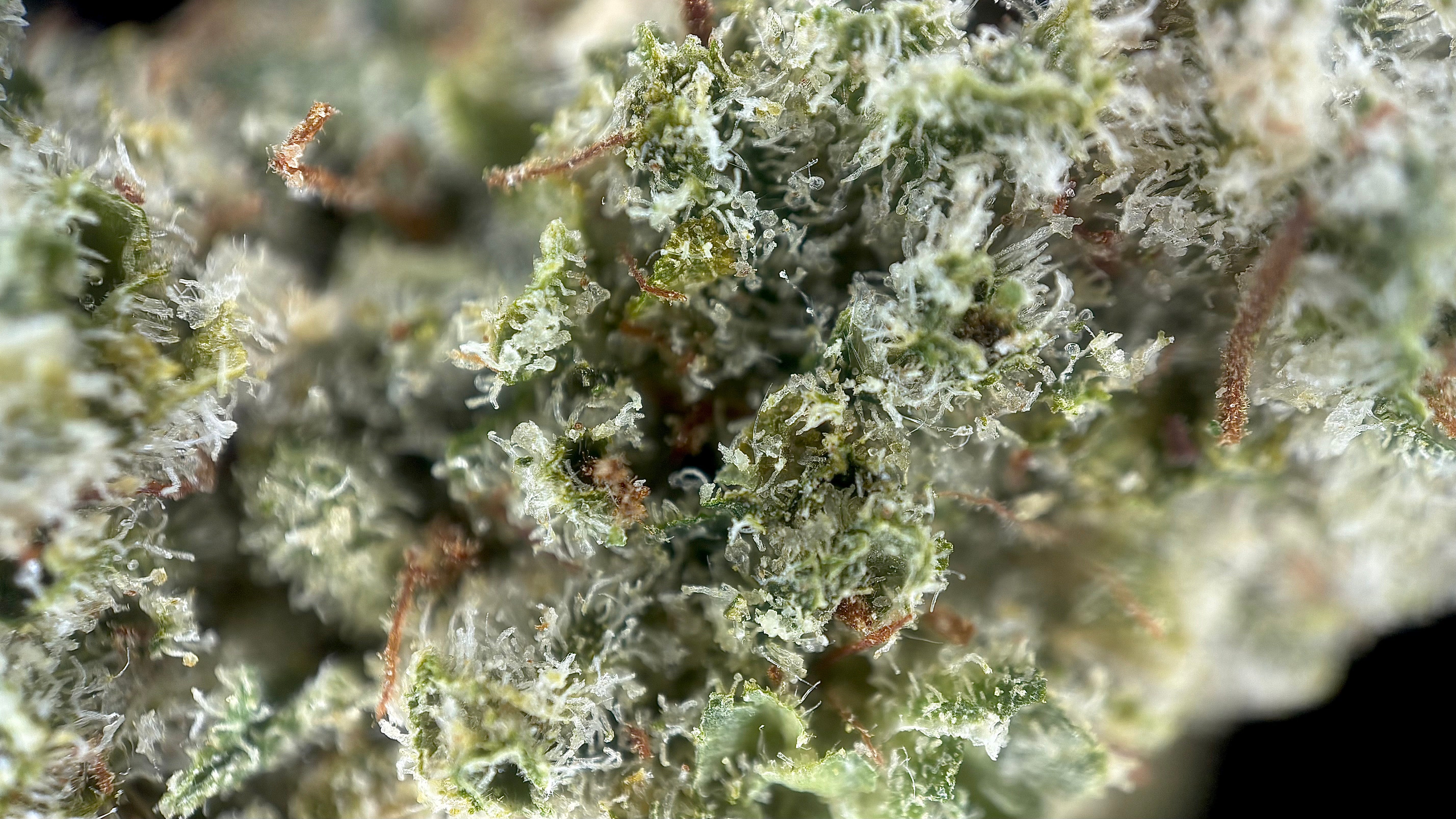 Mystic Glue