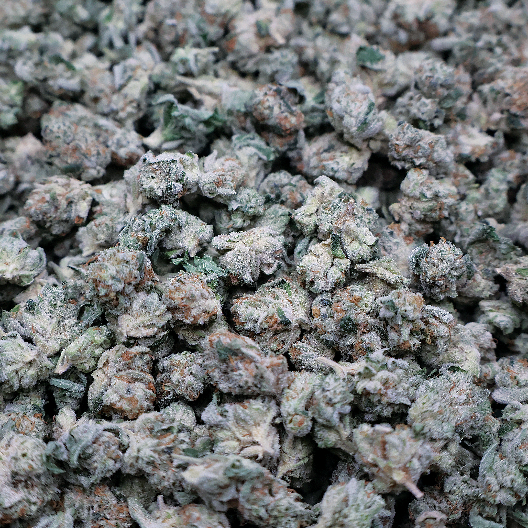 Alien OG Smalls THCa Flower - Miracle of the Desert