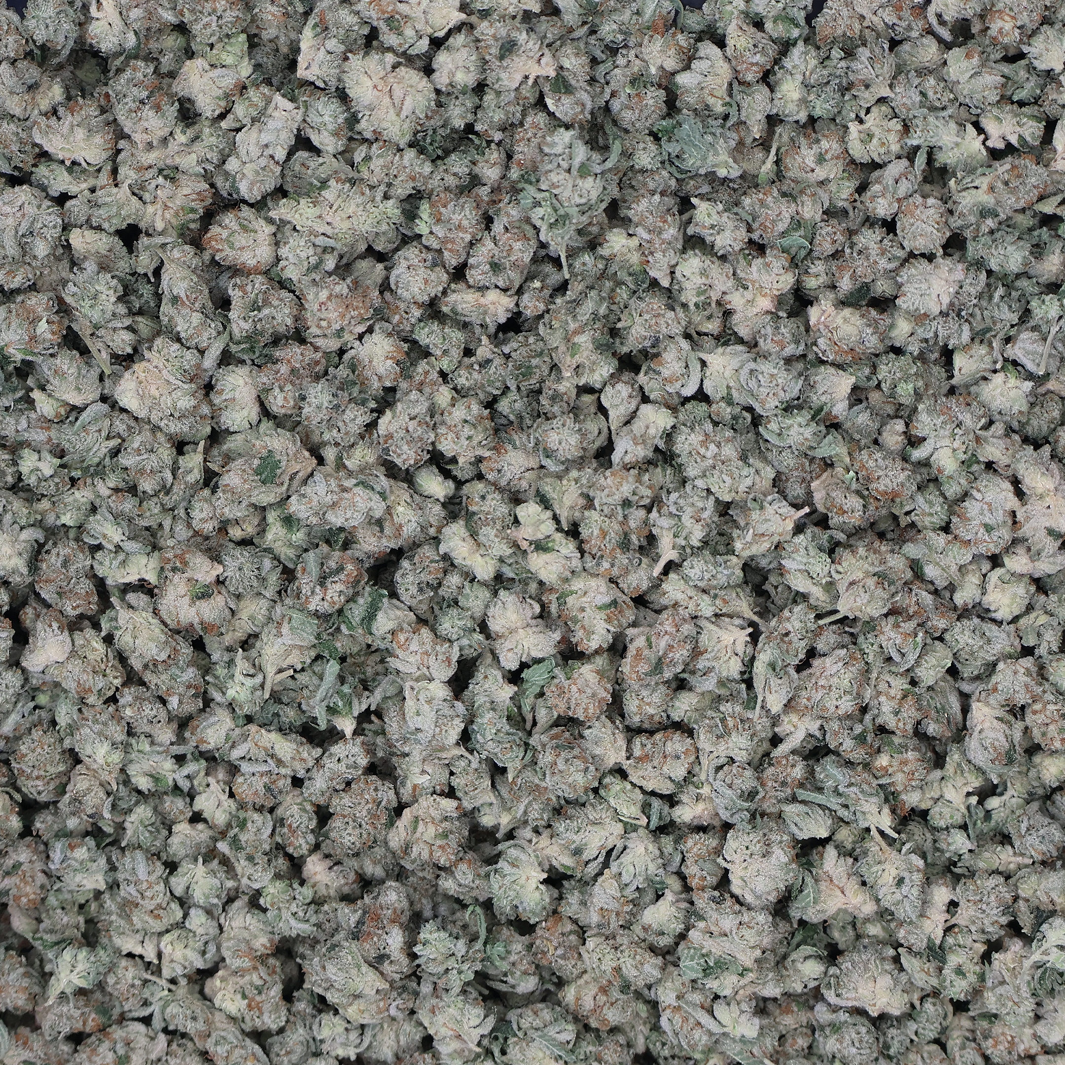 Alien OG Smalls THCa Flower - Miracle of the Desert