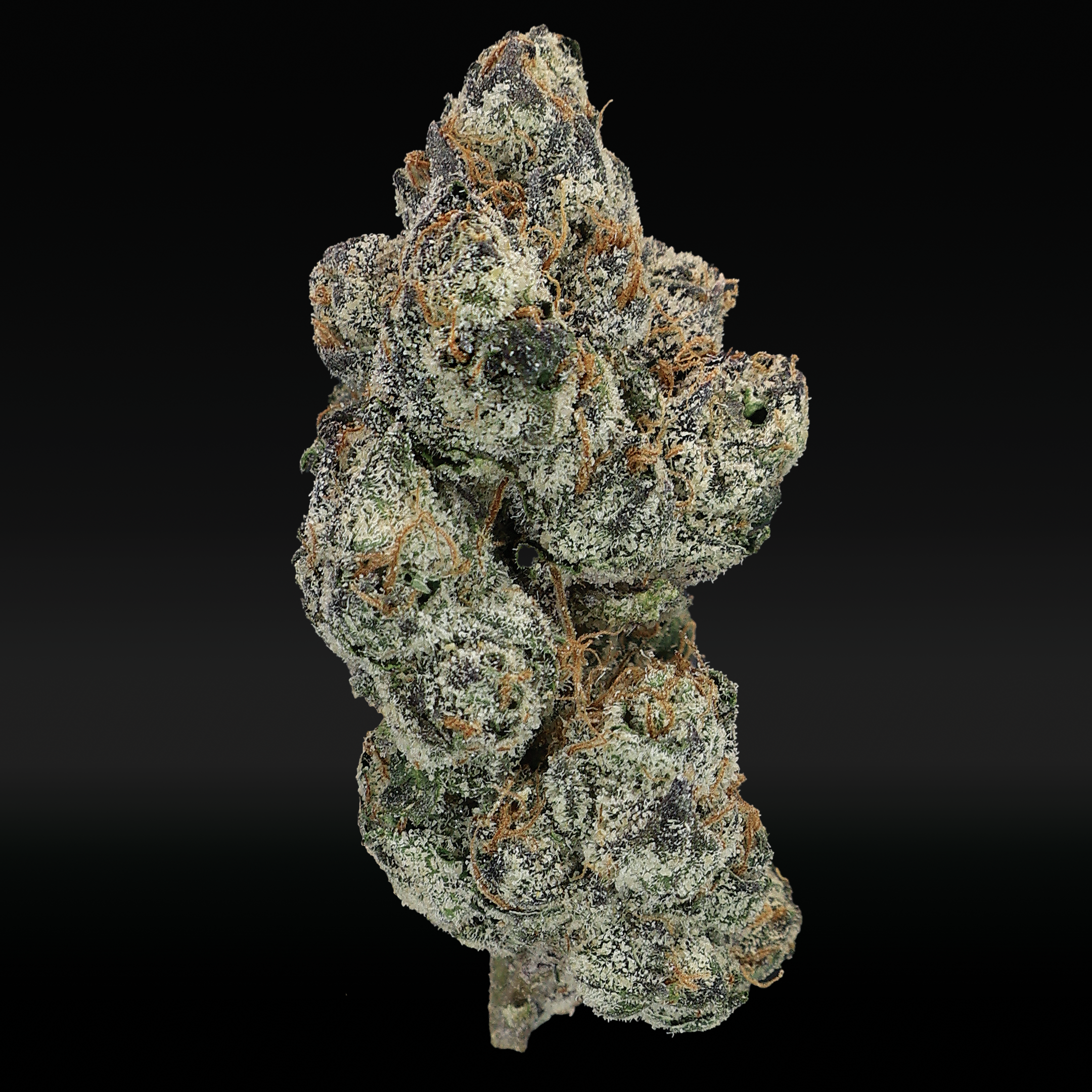 Bolo Runtz THCa Flower