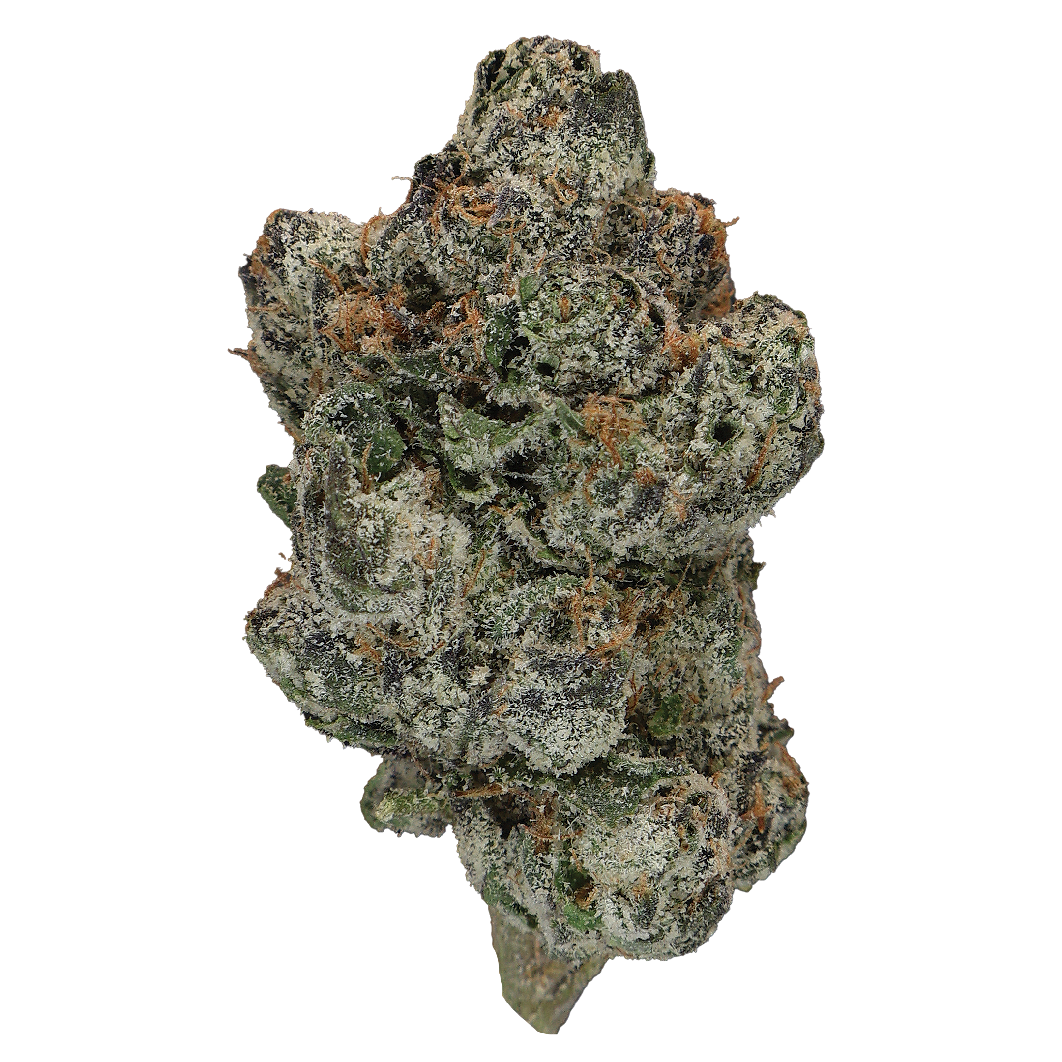 Bolo Runtz THCa Flower