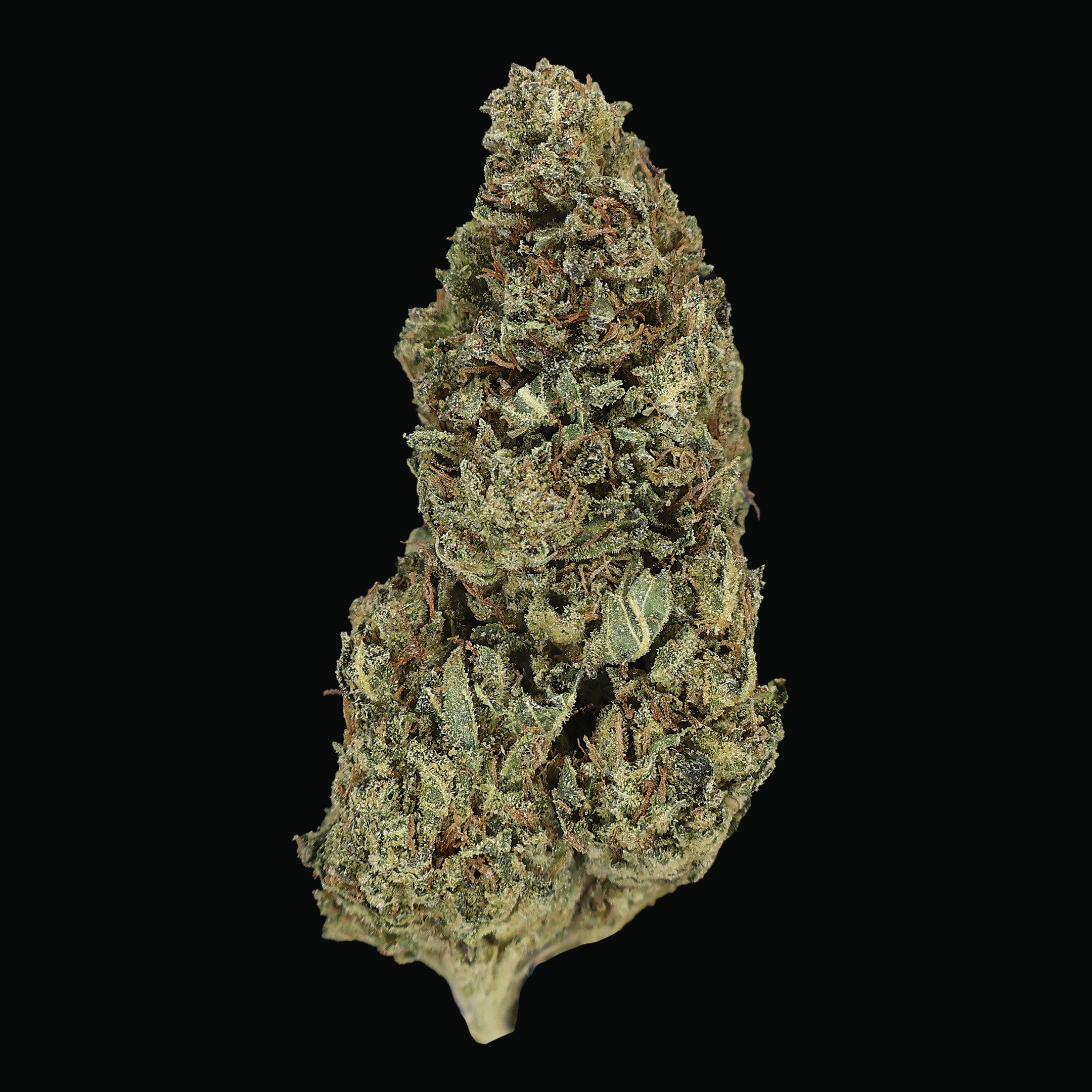 Bubba Trainwreck THCa Flower - Miracle of The Desert