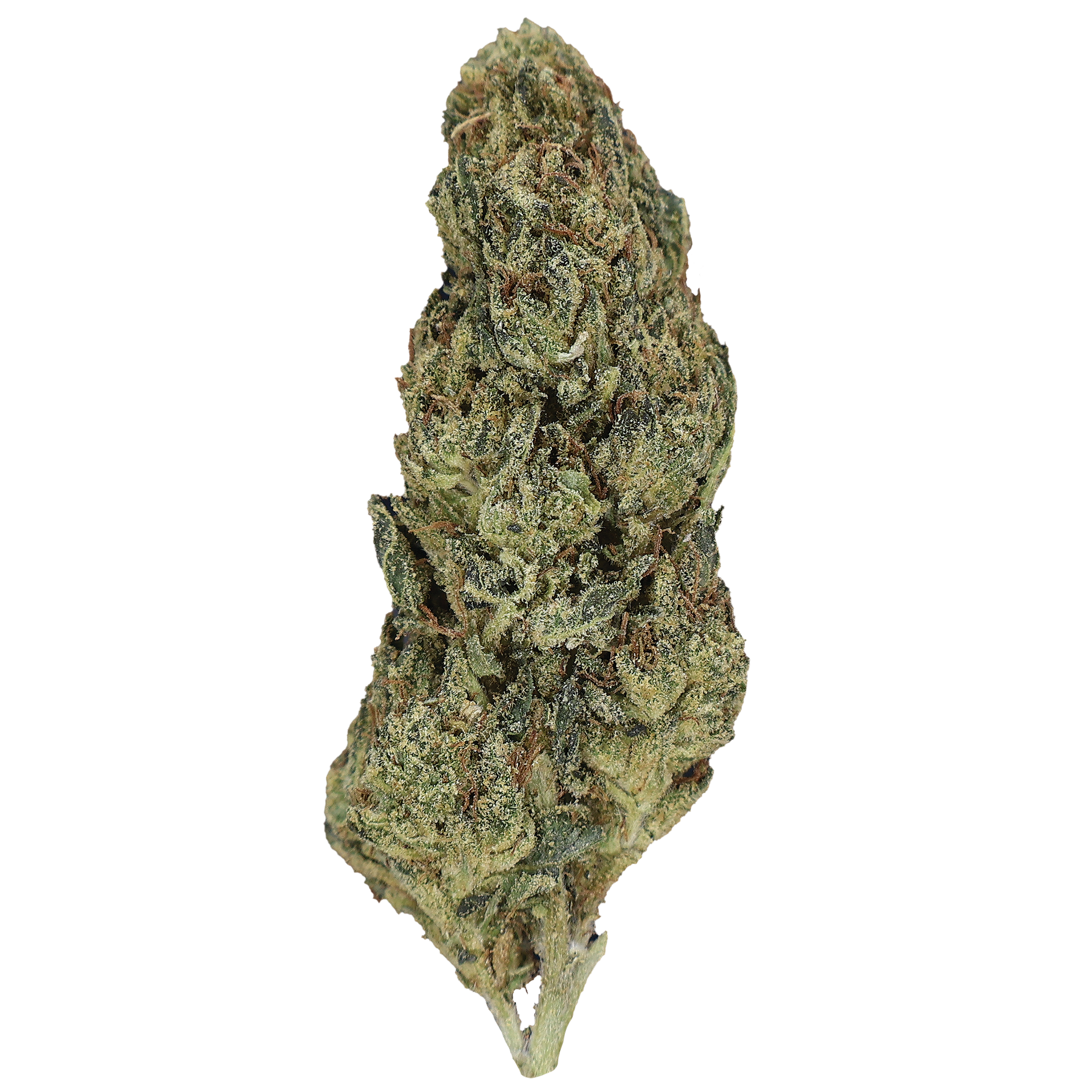 Bubba Trainwreck THCa Flower - Miracle of The Desert