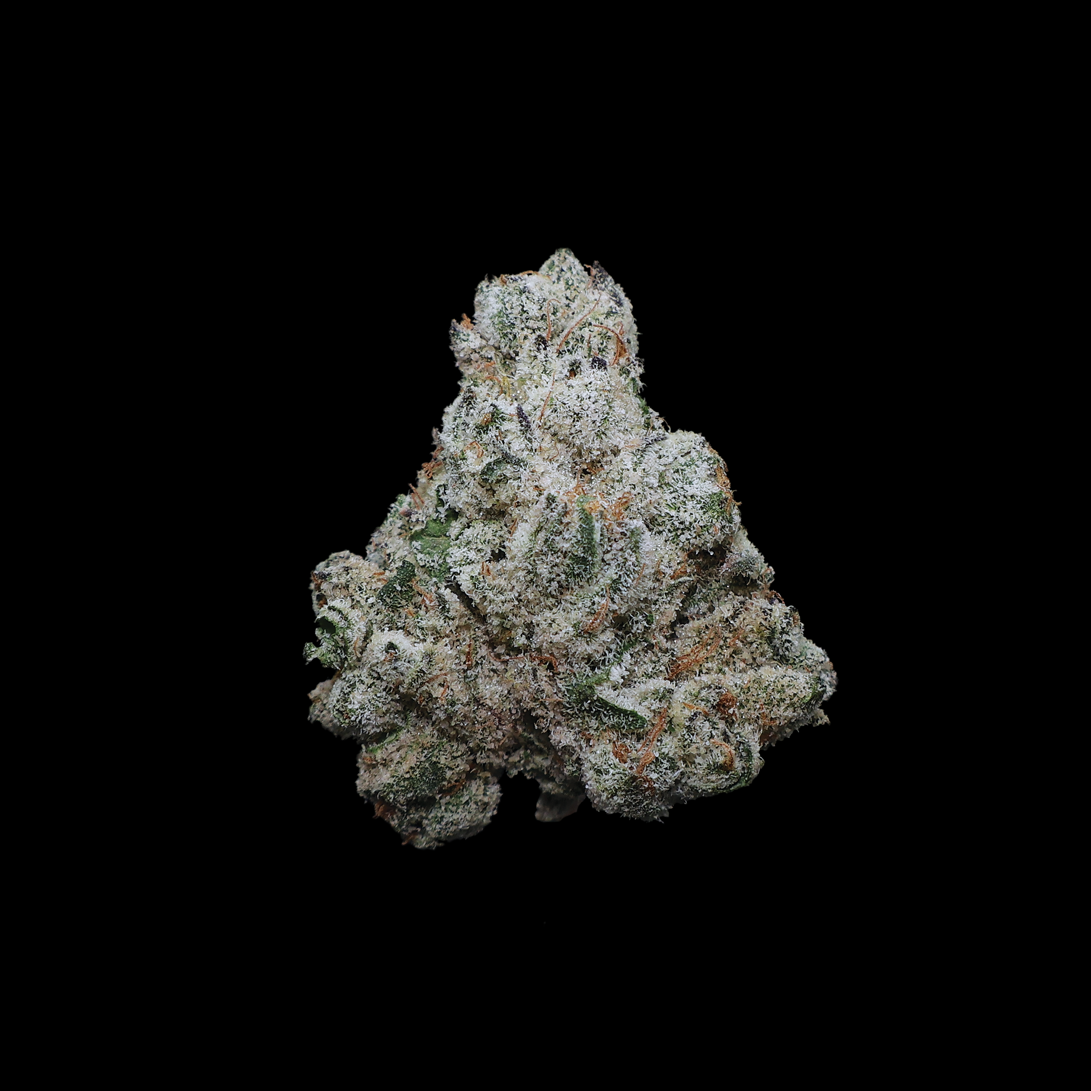 DJ Icy THCa Flower - Miracle of The Desert