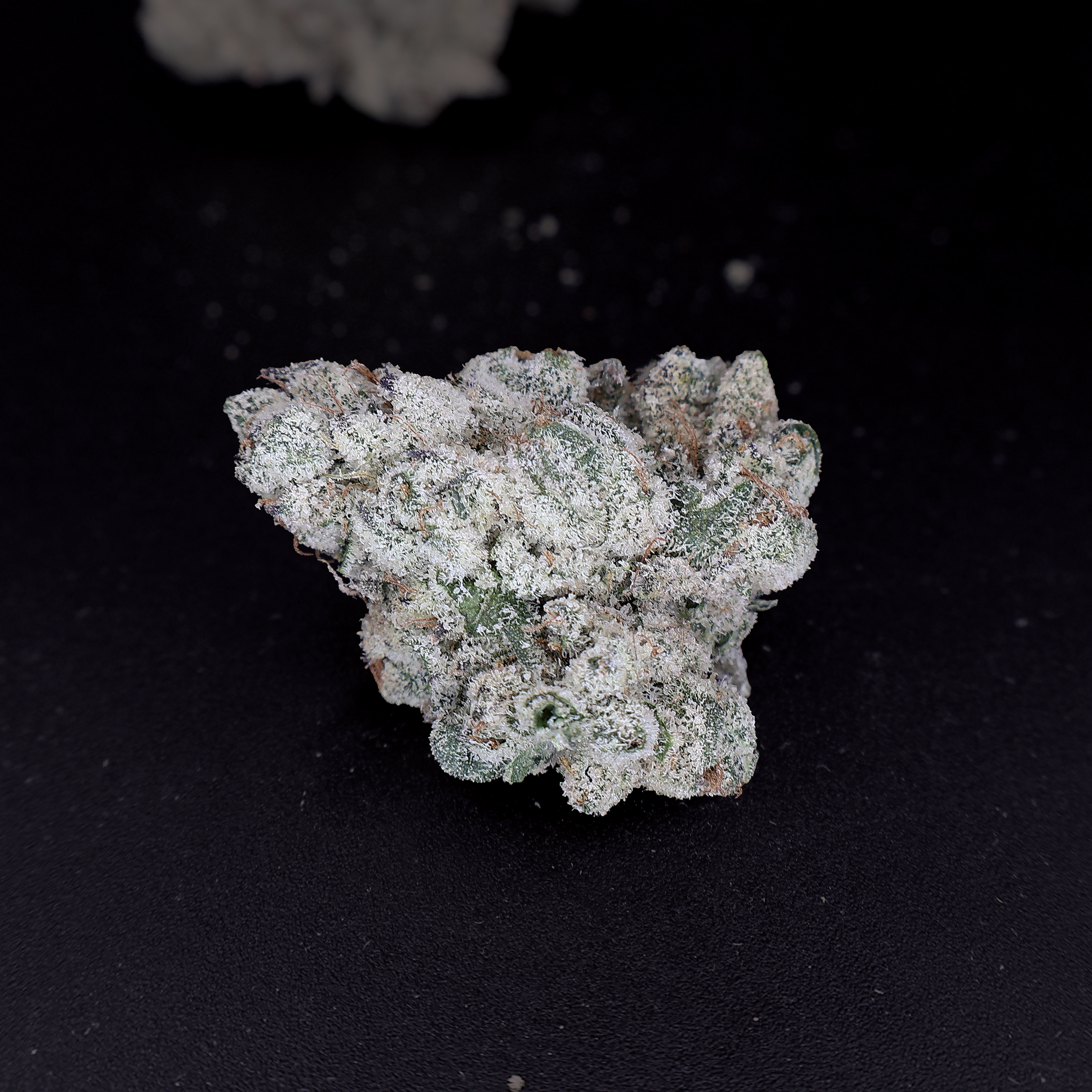 DJ Icy THCa Flower - Miracle of The Desert