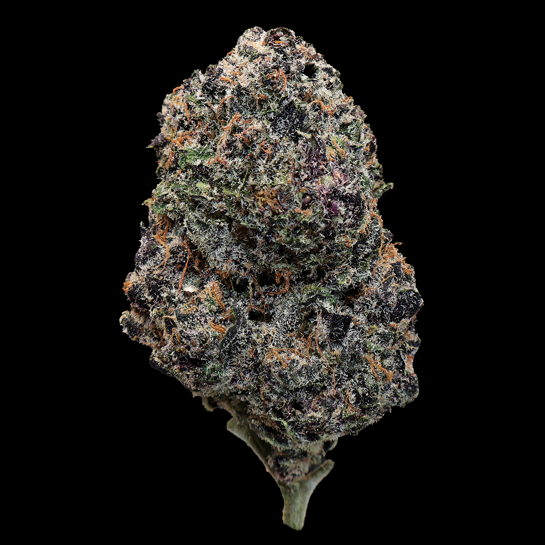 Forbidden Fruit THCa Flower - Miracle of The Desert