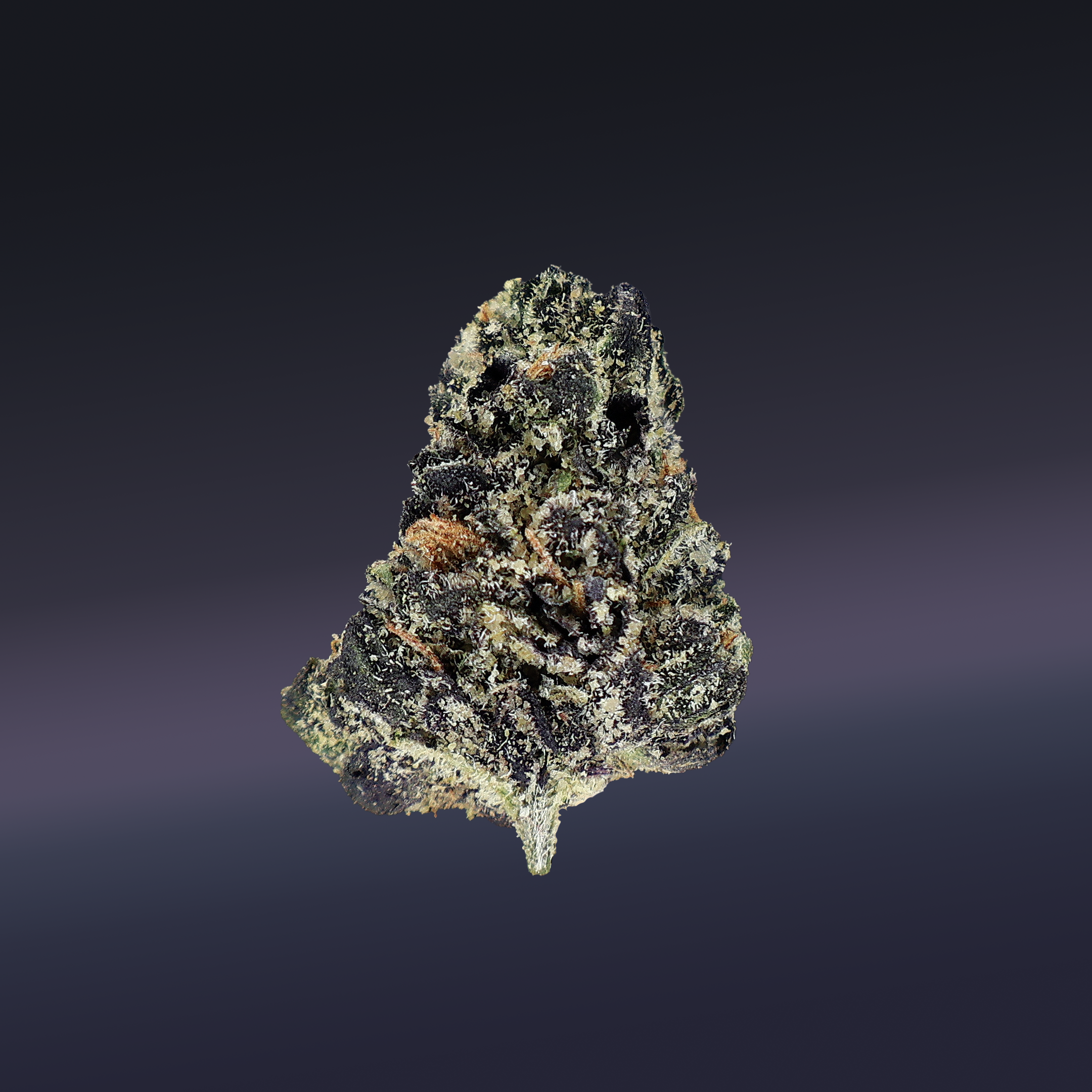 Gastro Pop THCa Smalls Flower - Miracle of The Desert