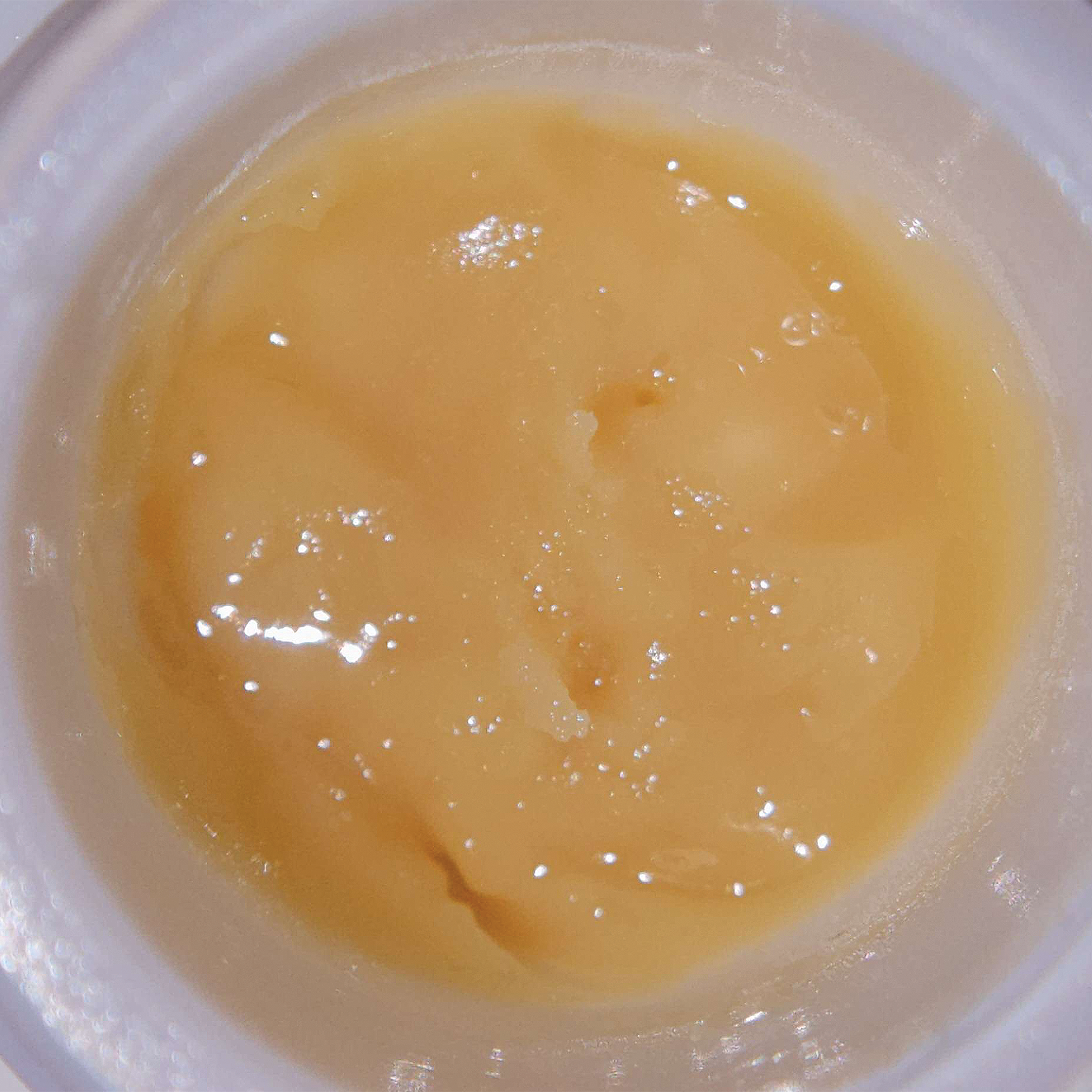 GovernMint Oasis Live Hash Rosin - Miracle of The Desert