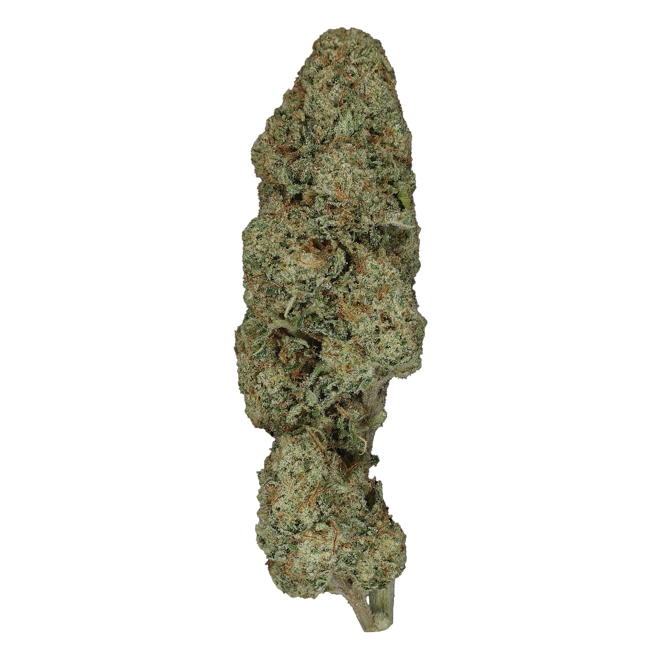Guava Dawg THCa Flower