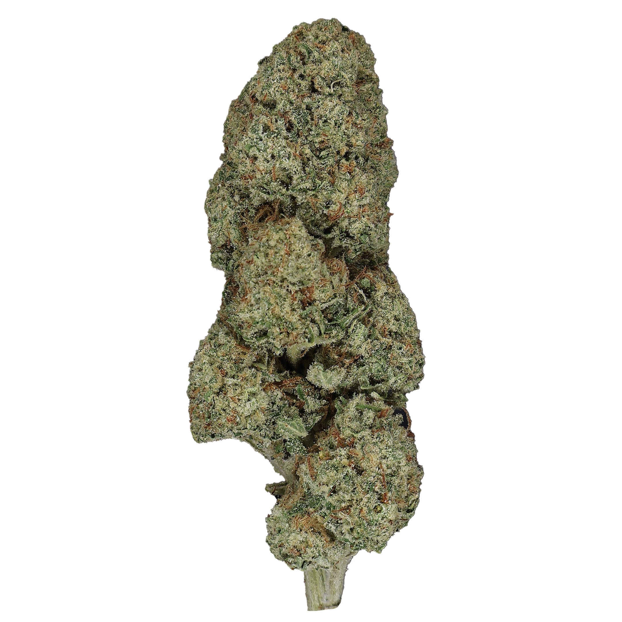 Guava Dawg THCa Flower