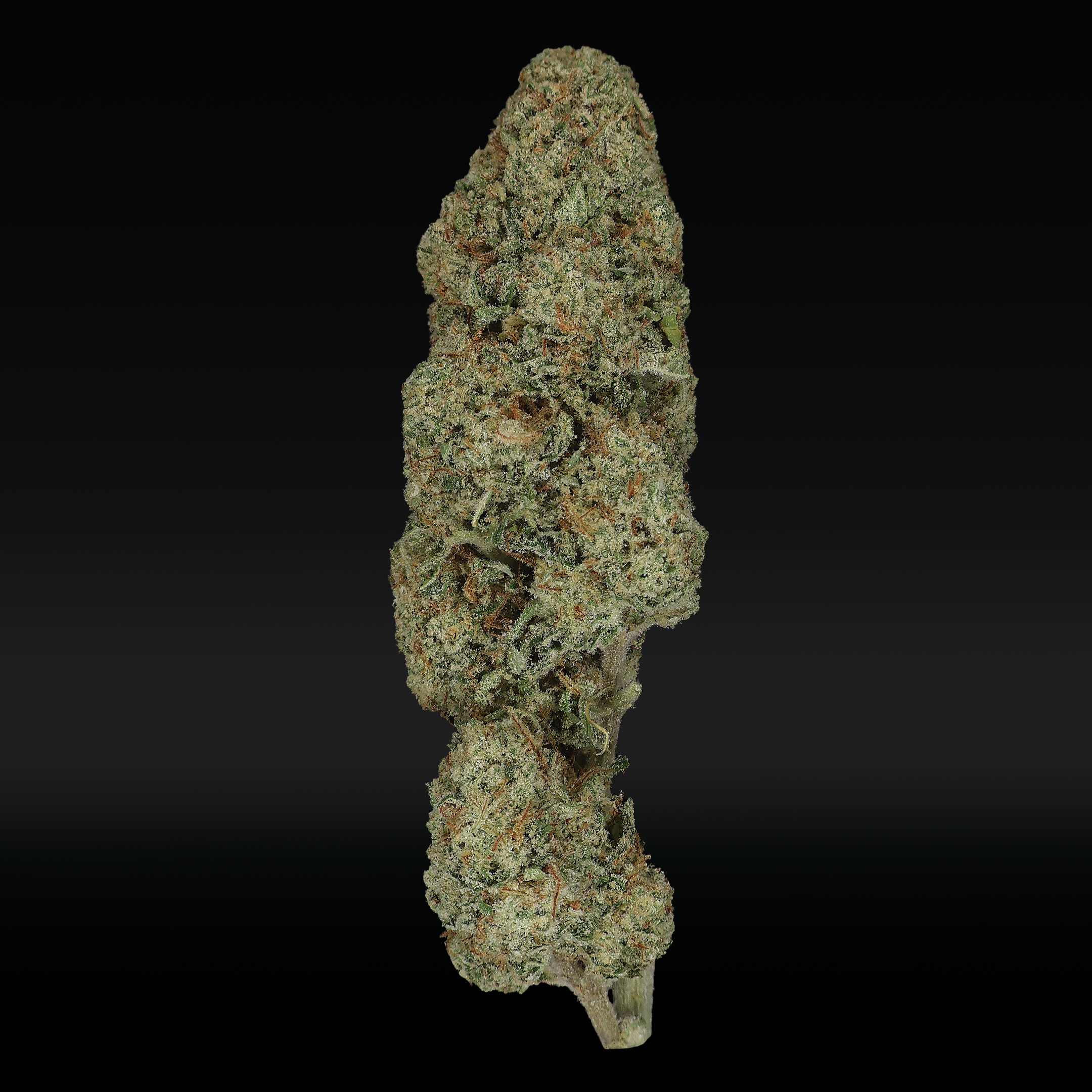 Guava Dawg THCa Flower