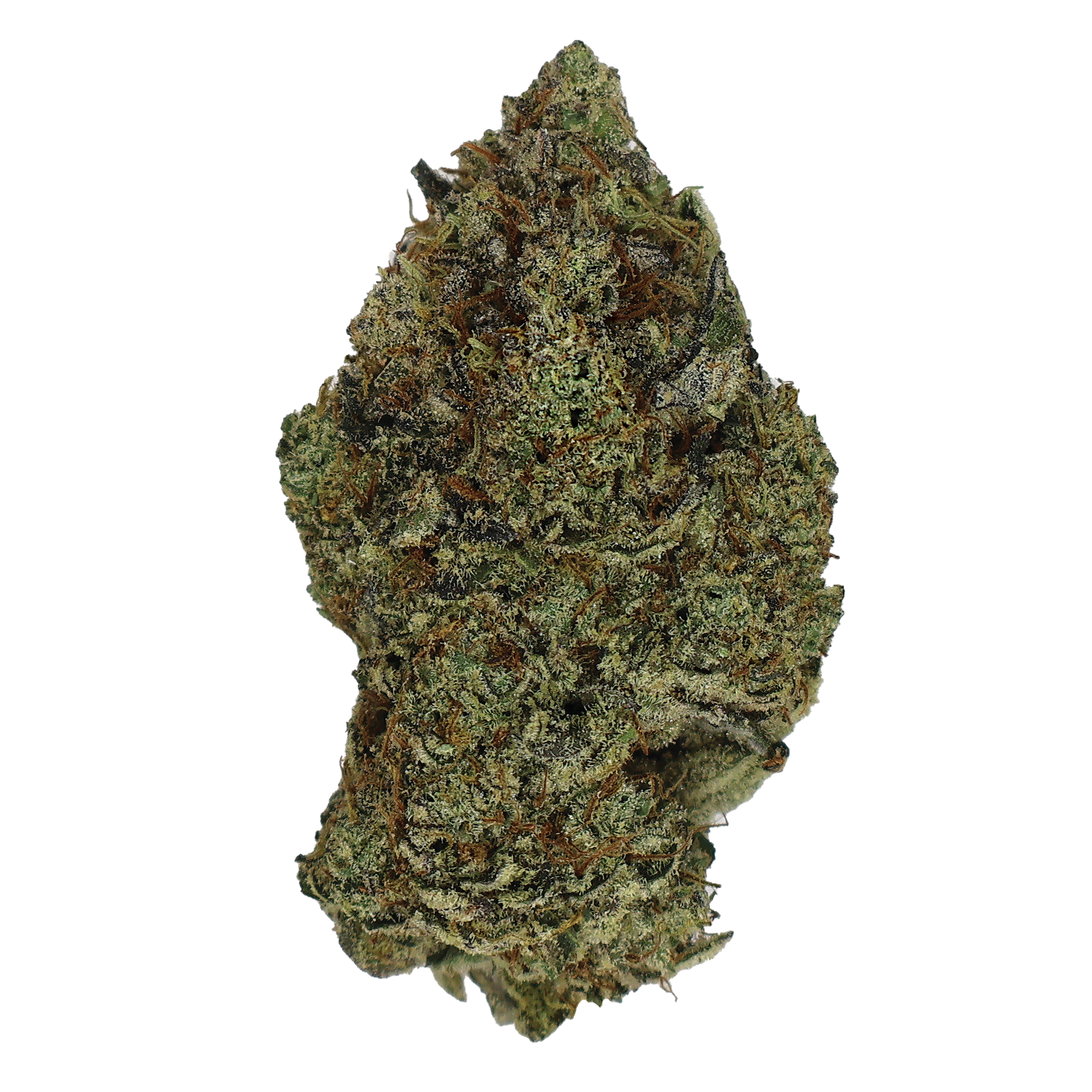 Premium Flower Sample Pack