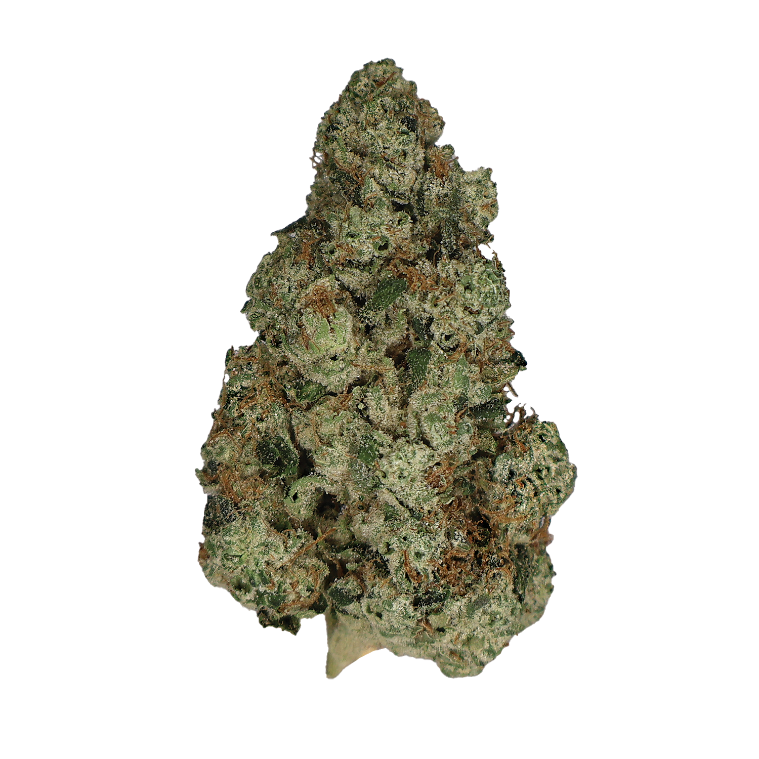 Alien OG