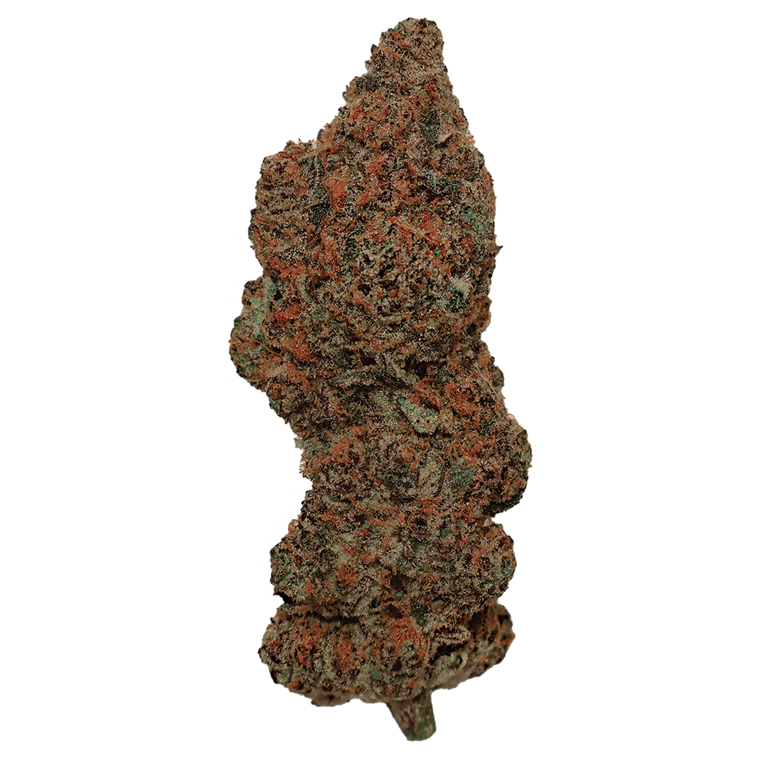 Permanent Candy - The Miracle Shop