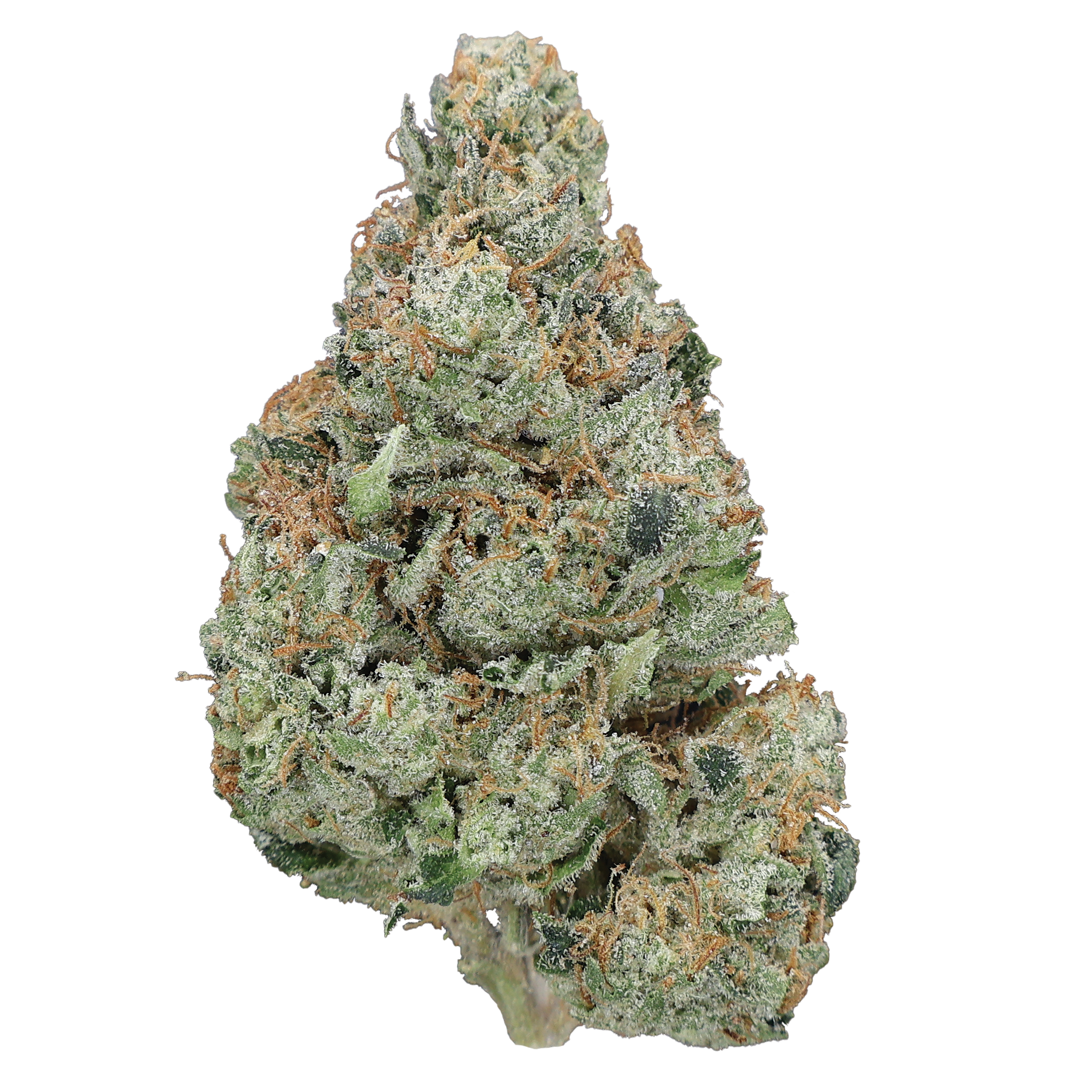 Marathon OG THCa Flower