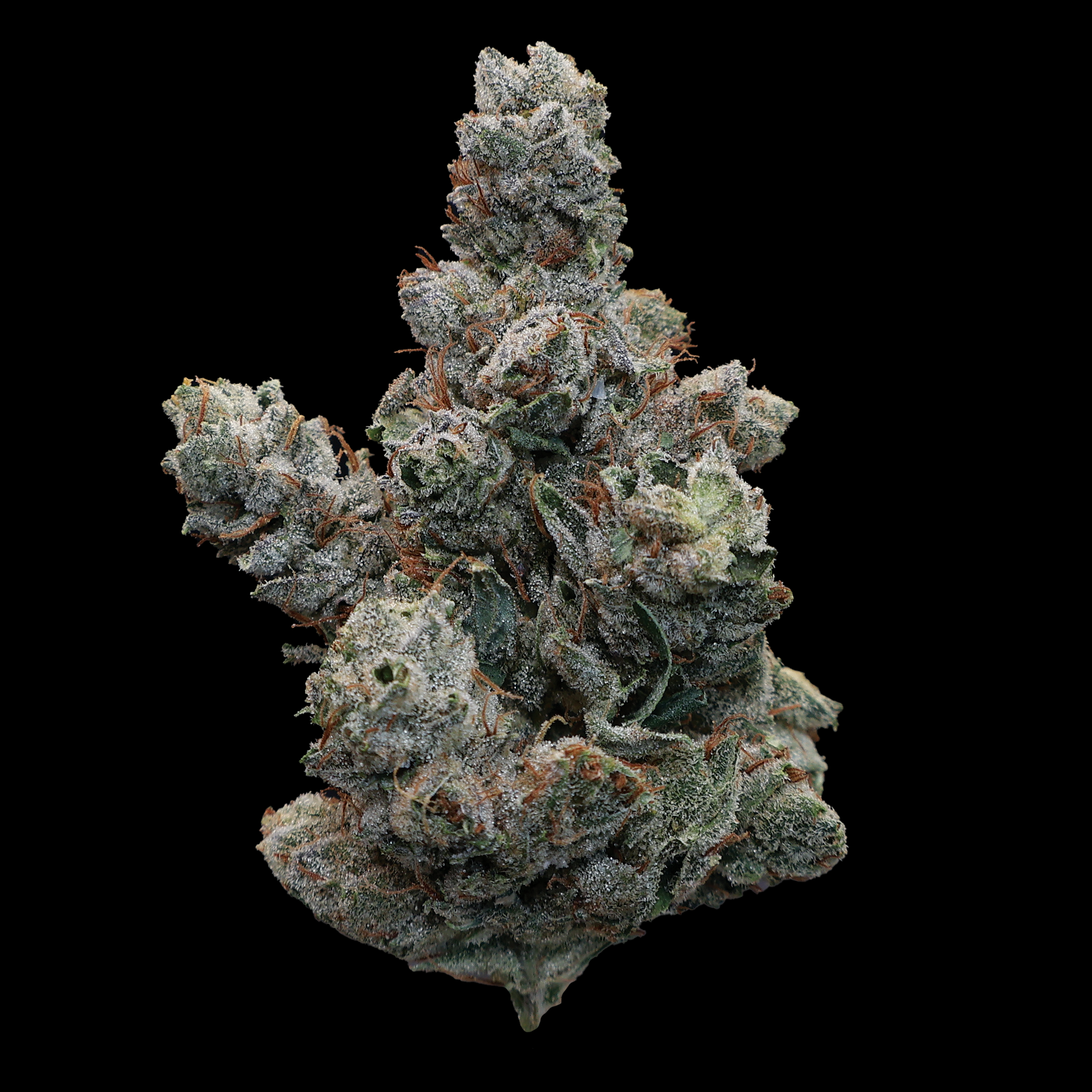 Mystic Glue THCa Flower - Miracle of The Desert