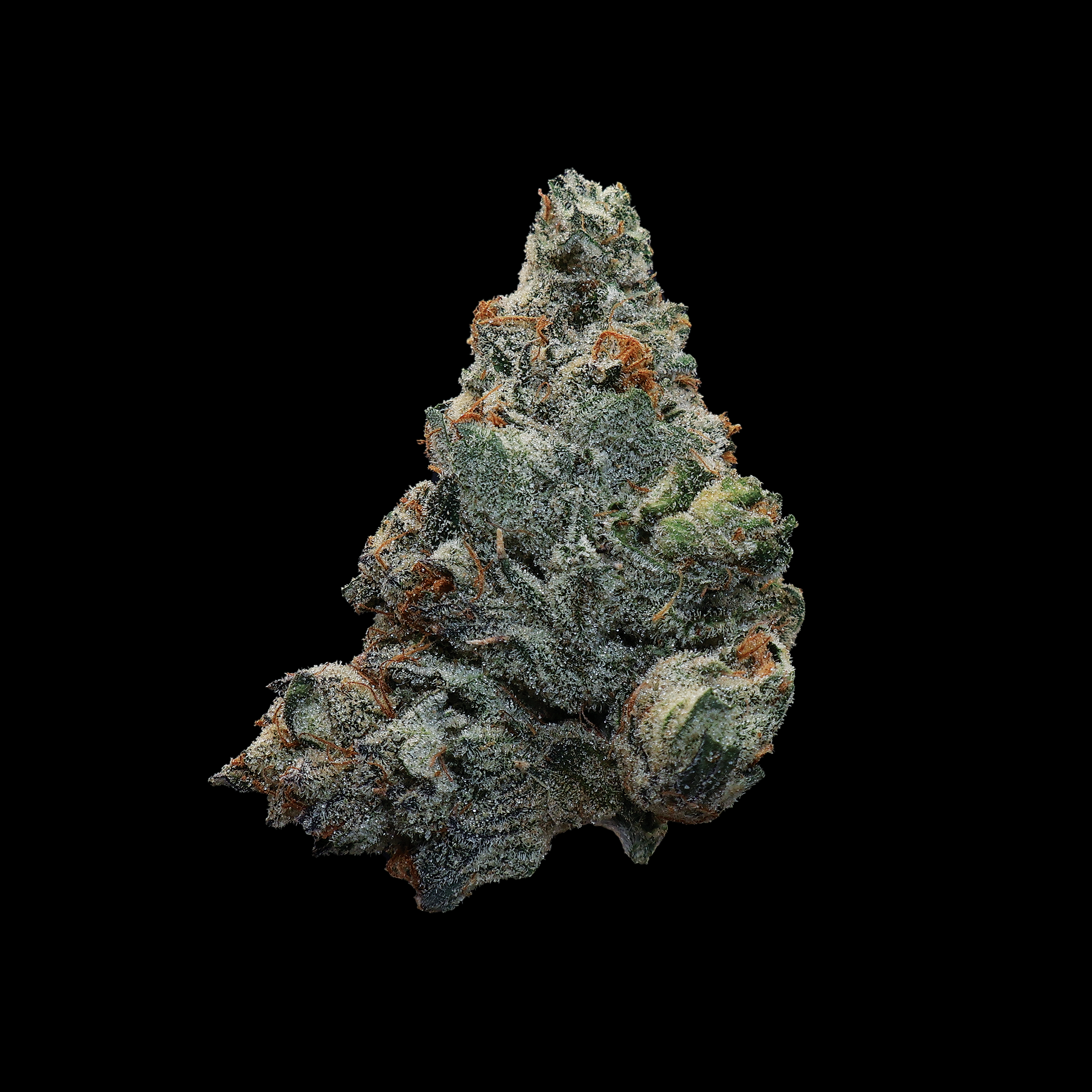 Polar Pop THCa Flower - Miracle of The Desert