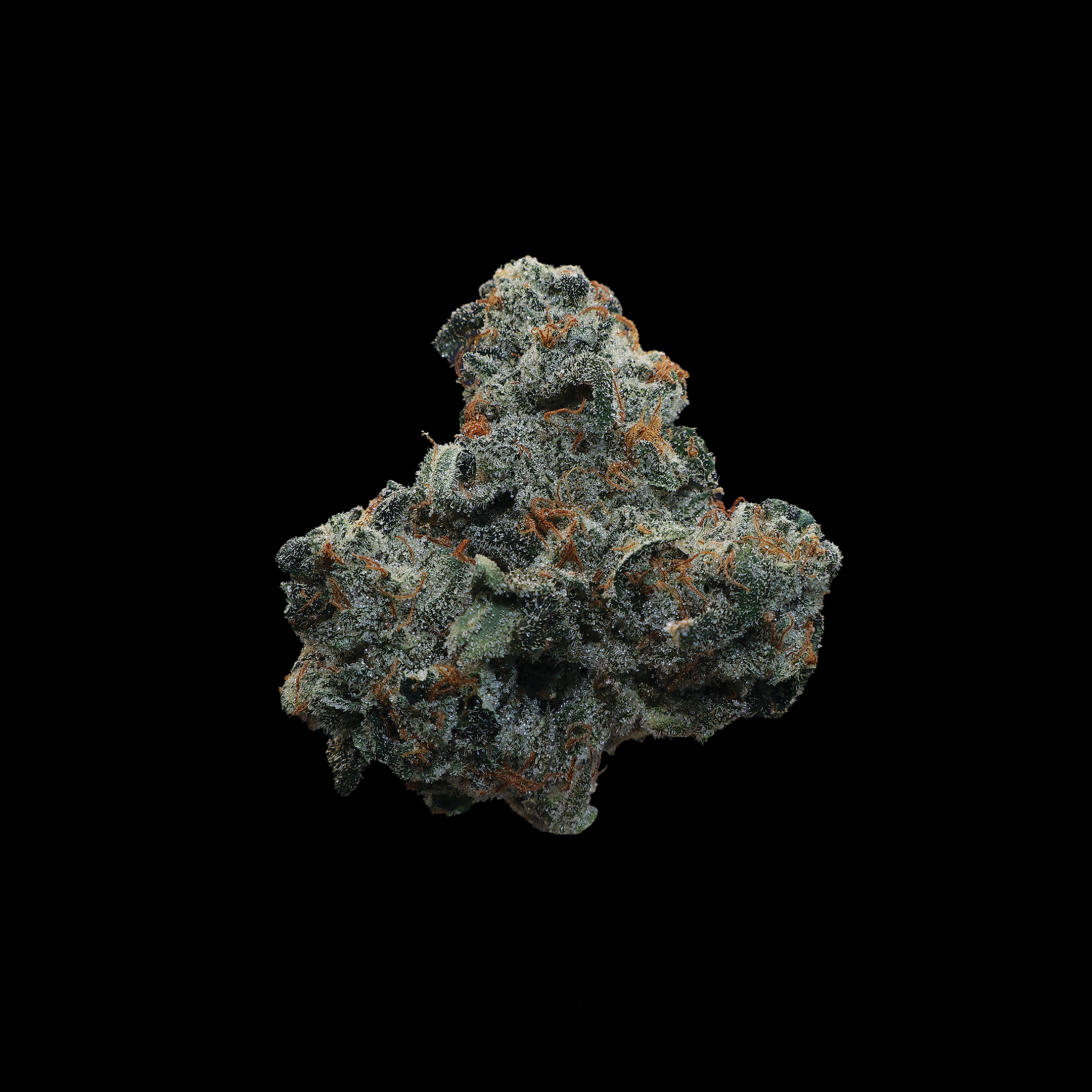 Polar Pop THCa Flower - Miracle of The Desert