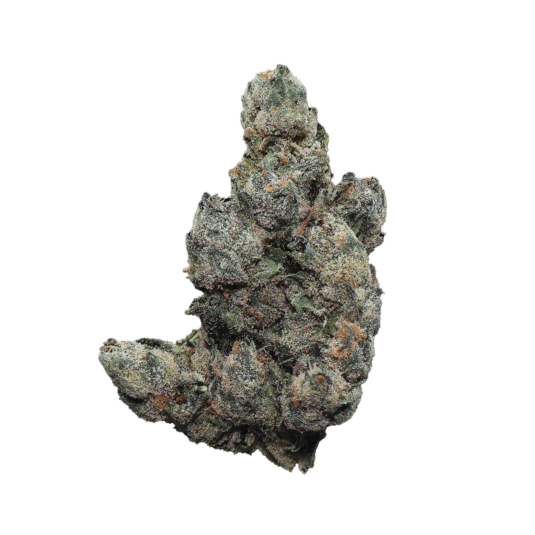 Sour Headband THCa Flower