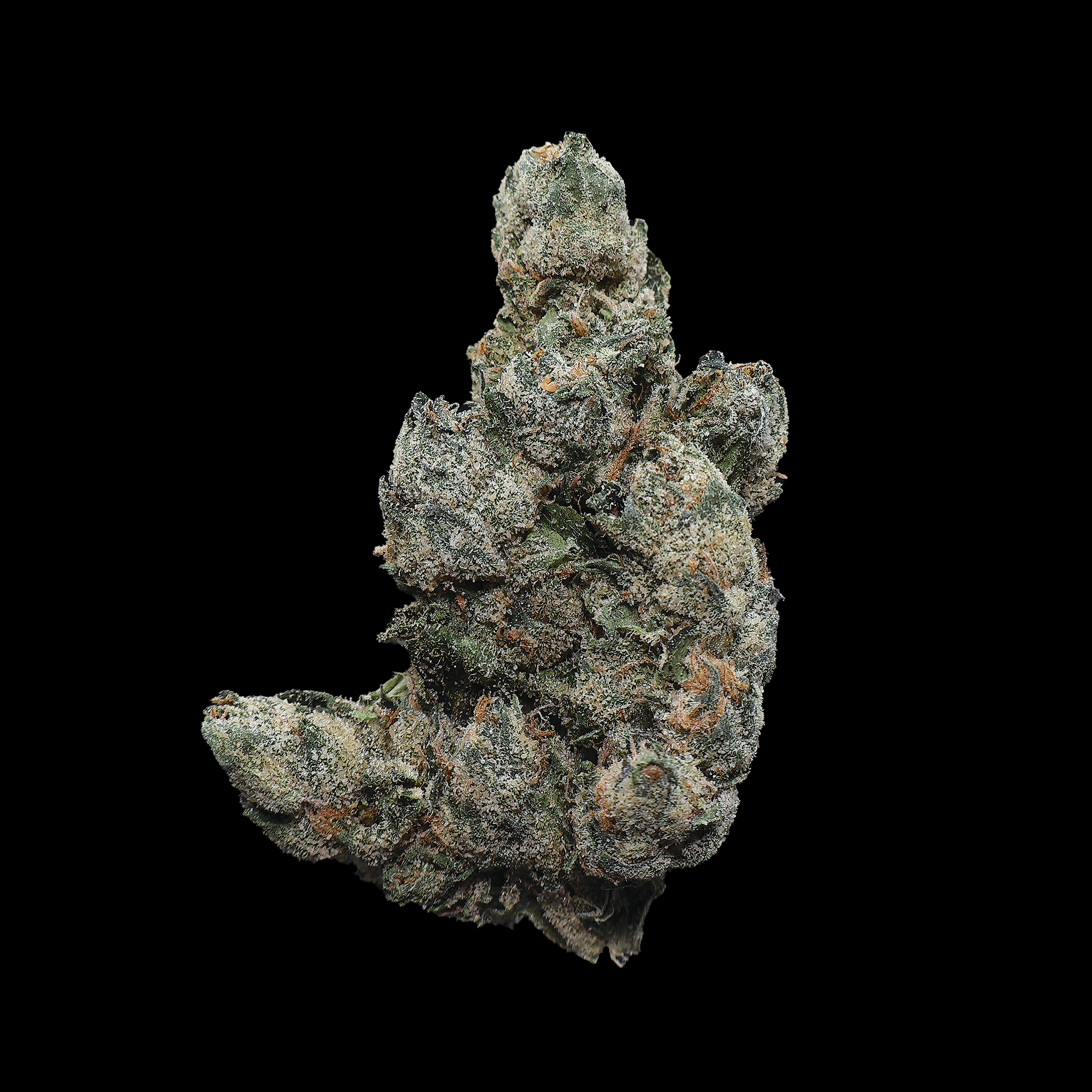 Sour Headband THCa Flower