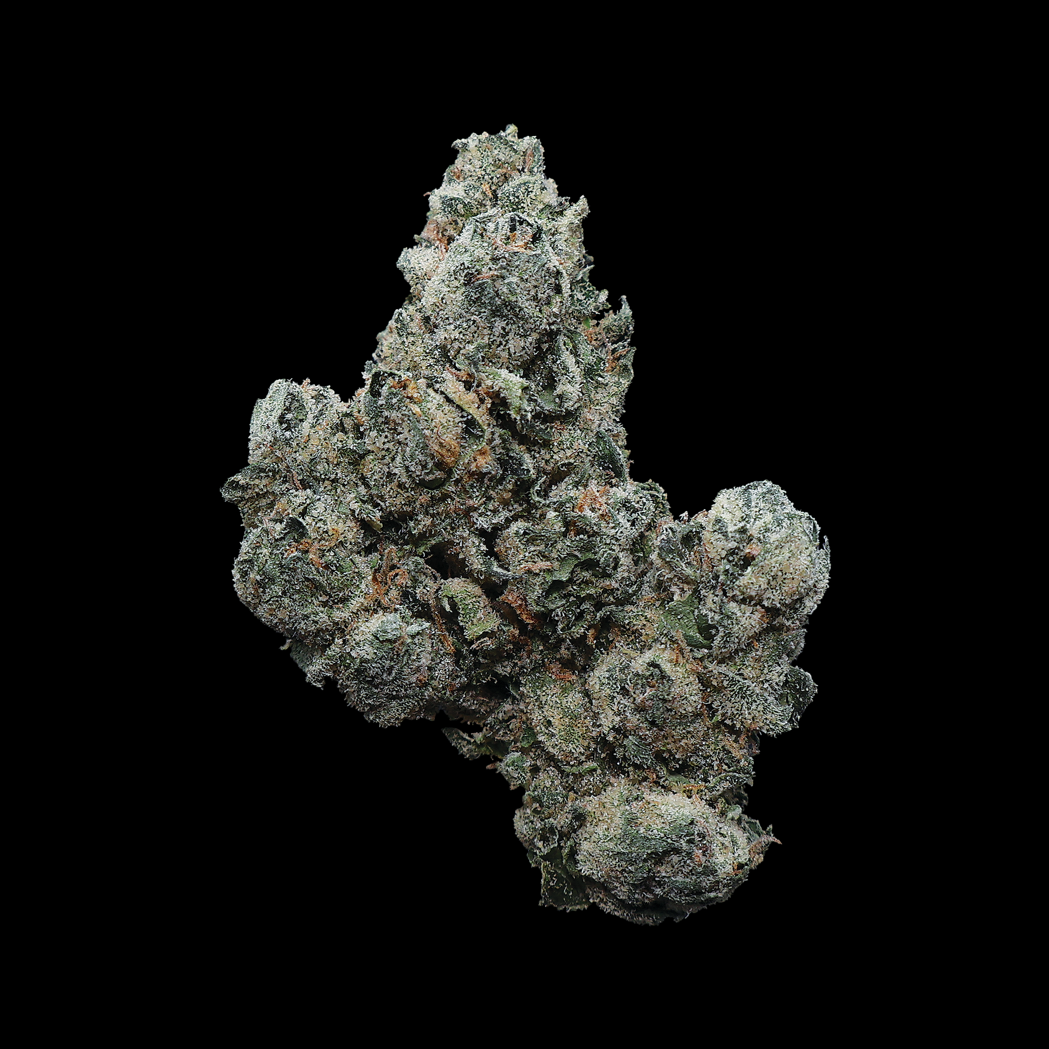 Sour Headband THCa Flower