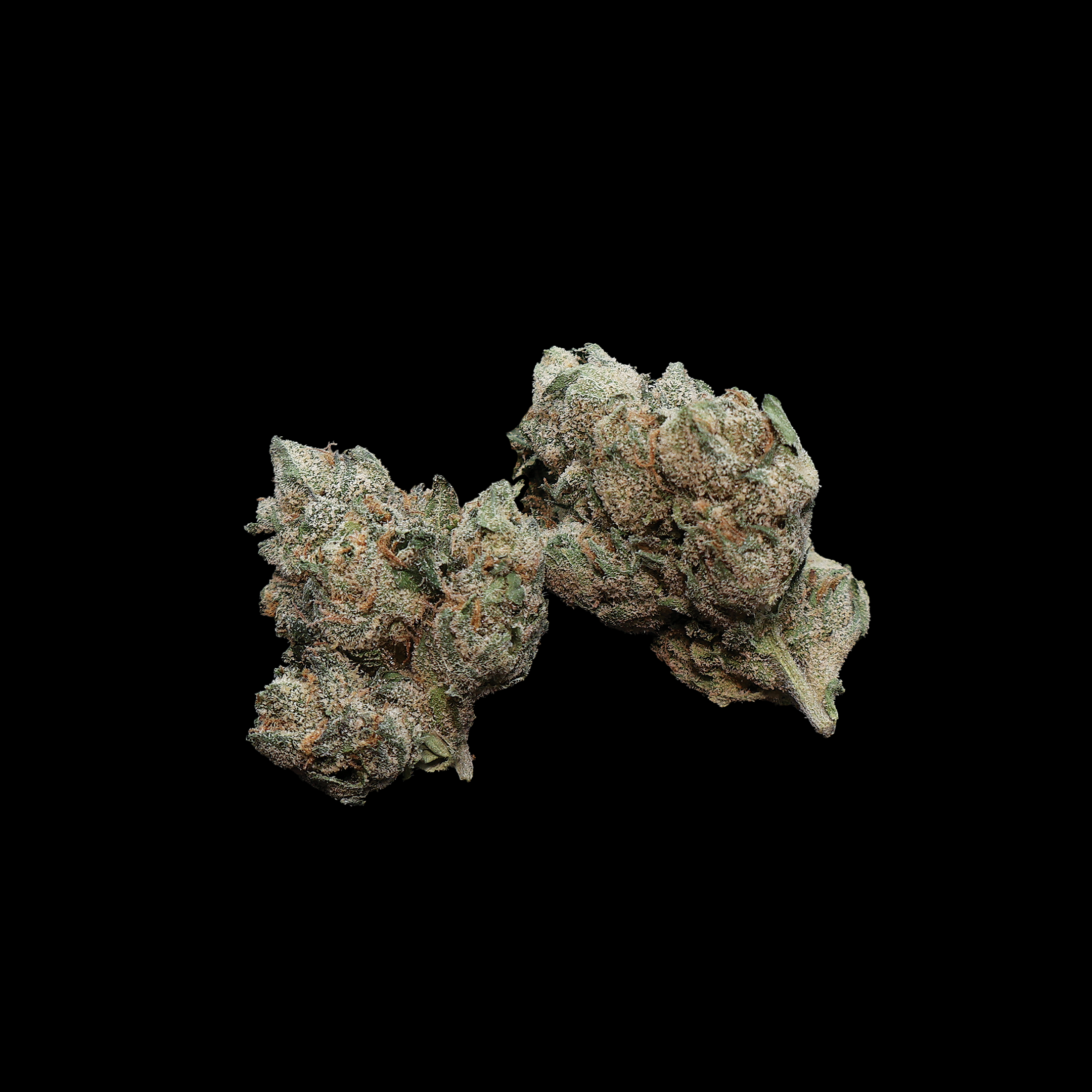 Sour Headband THCa Flower