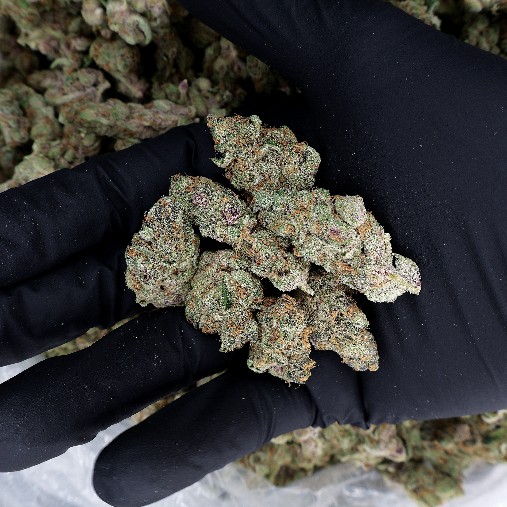 Super Boof THCa Smalls Flower - Miracle of The Desert