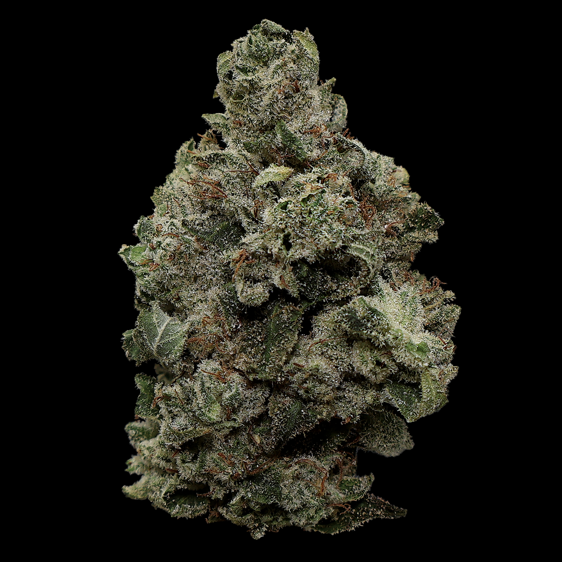 Original Glue THCa Flower