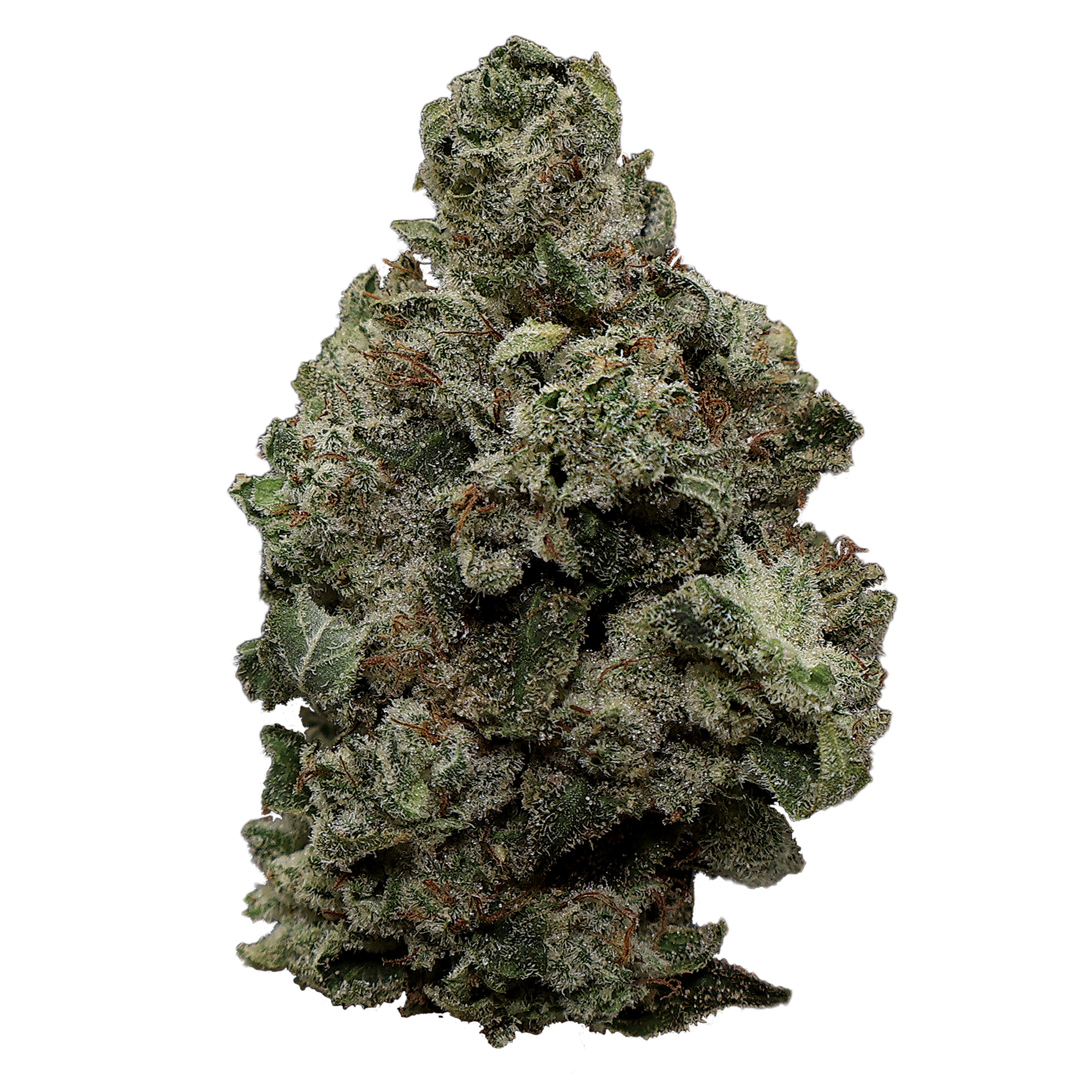 Original Glue THCa Flower