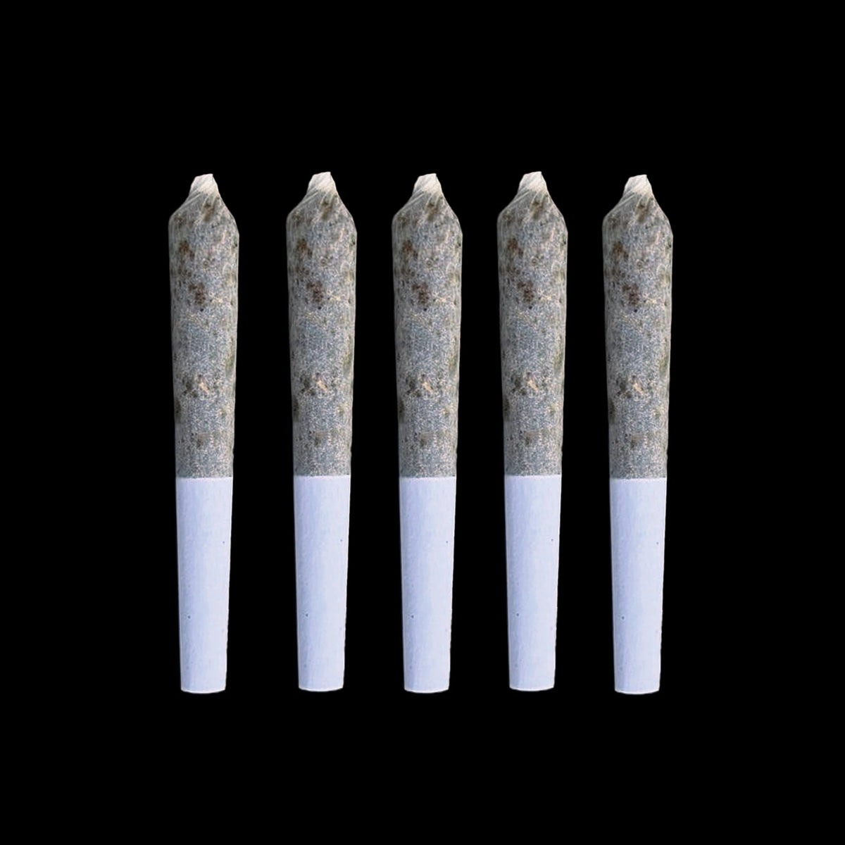 Five THCa infused mini pre-rolls, 0.5g each, standing in a row