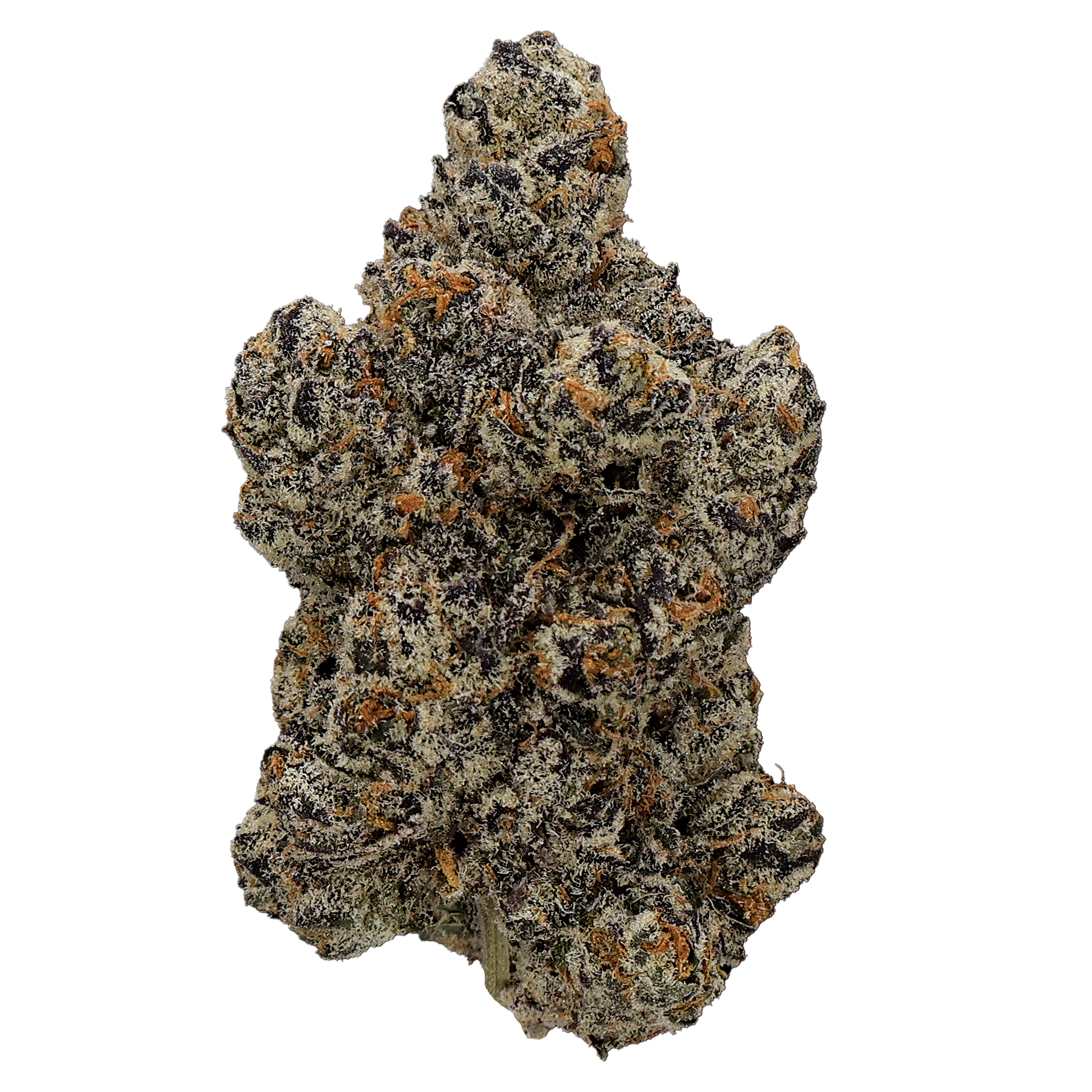 White Cherry Runtz x Pure Michigan THCA flower by Miracle of the Desert, showing fresh, frosty buds with vibrant white and purple hues.