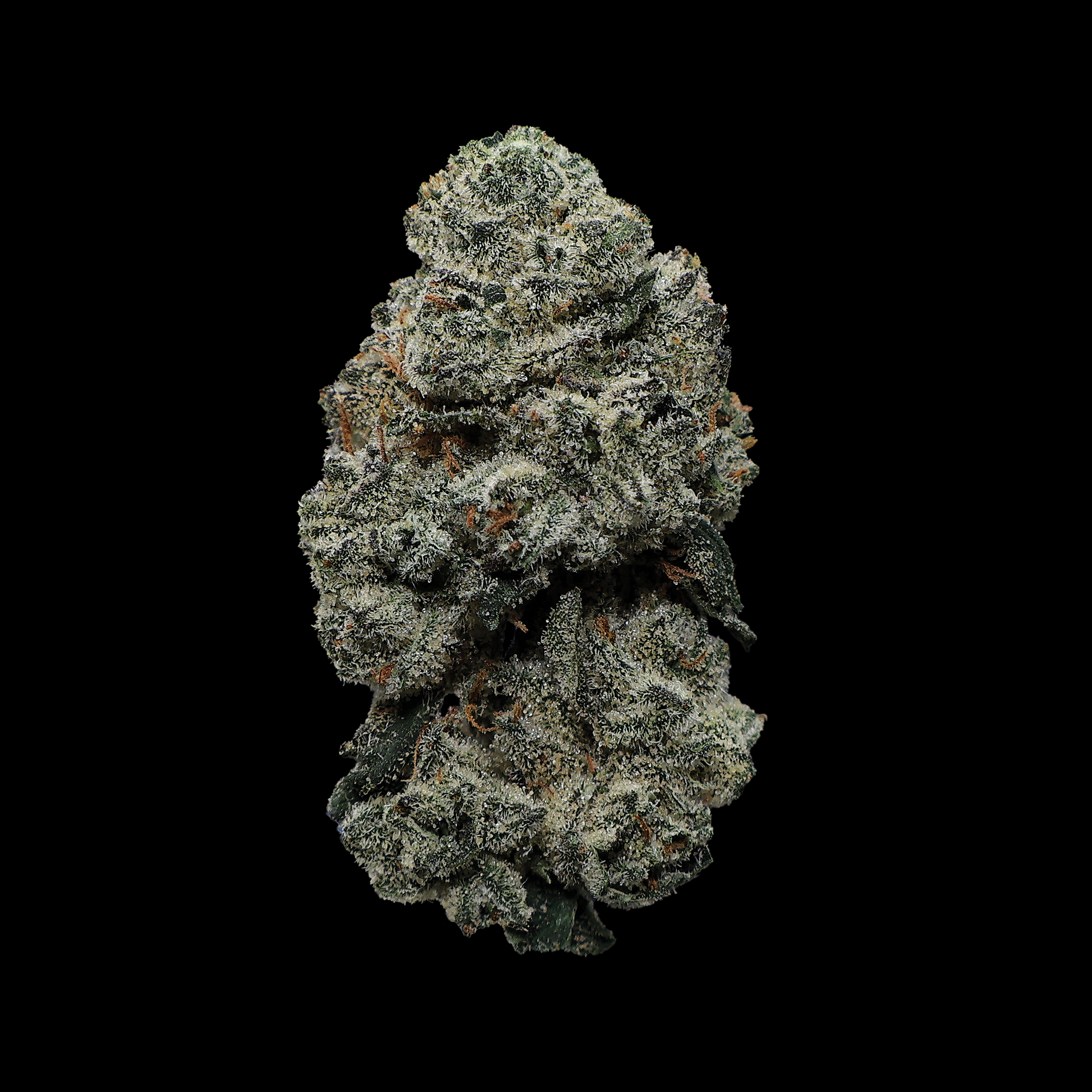 White Runtz THCa Flower