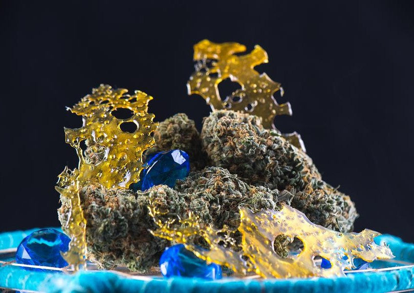Cannabis 101: Understanding the Differences Between Flowers, Edibles & Concentrates